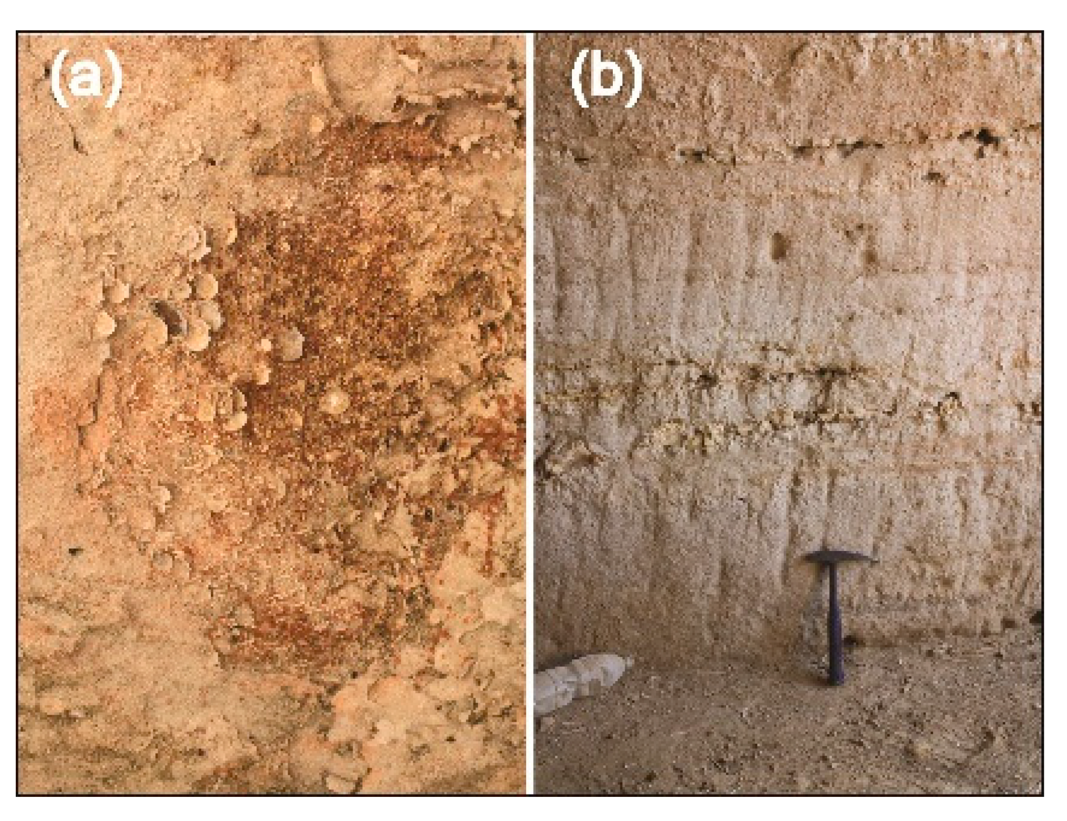 Sustainability 14 15911 g007