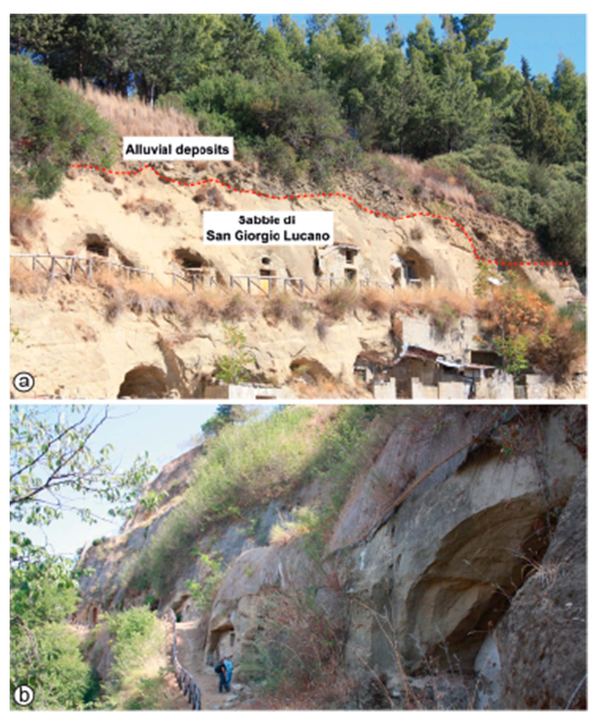 Sustainability 14 15911 g008