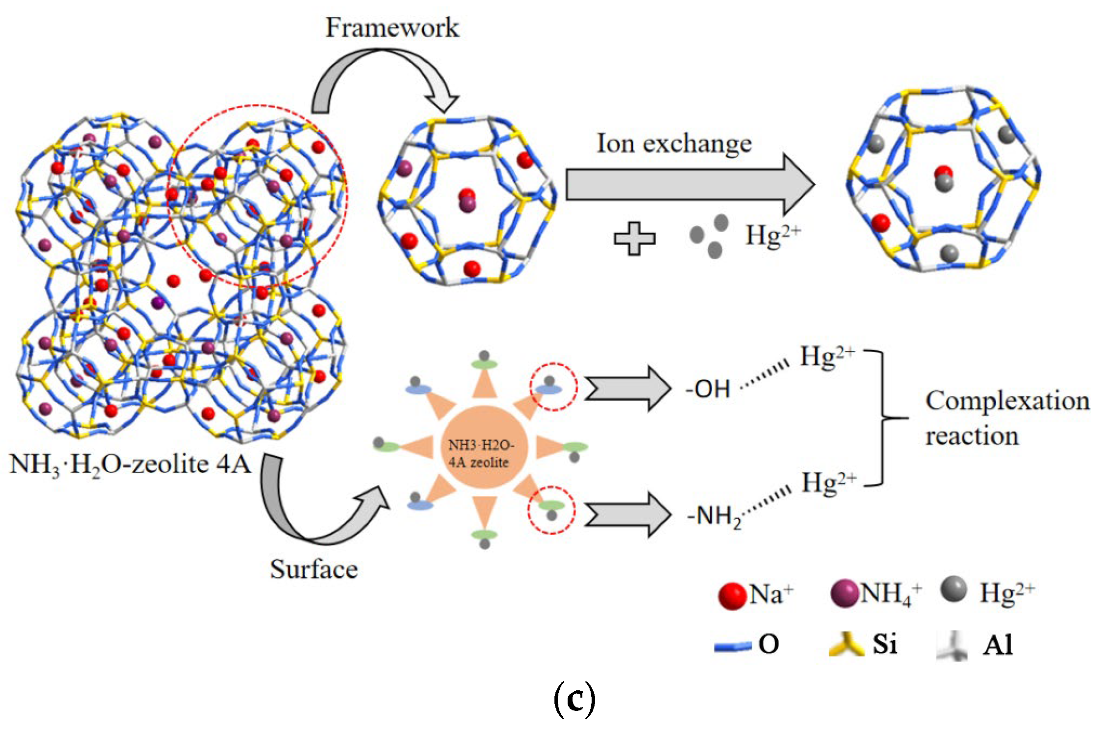 Sustainability 14 15924 g012b Sustainability 14 15924 g012b