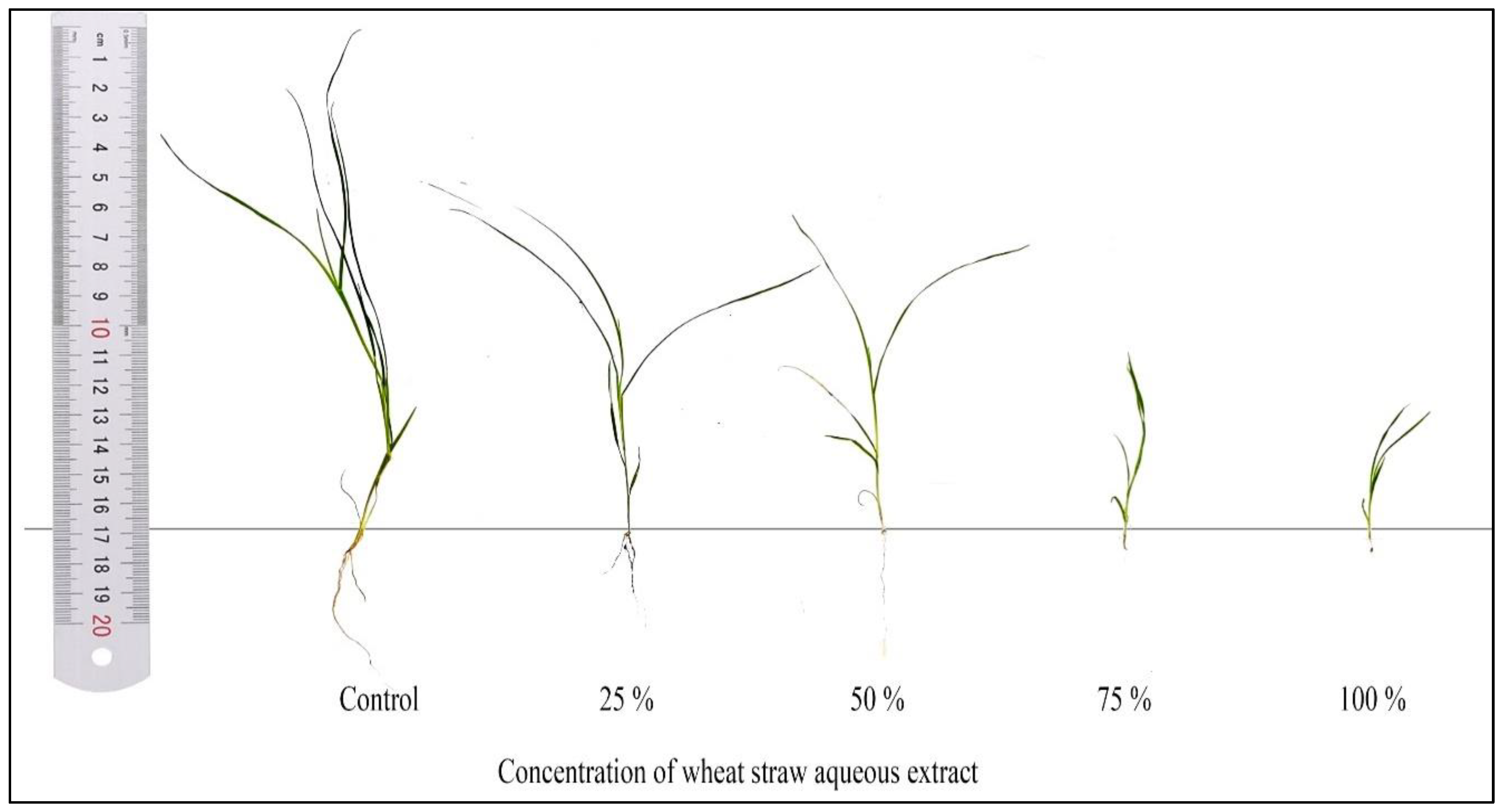 Sustainability 14 15989 g004 Sustainability 14 15989 g004