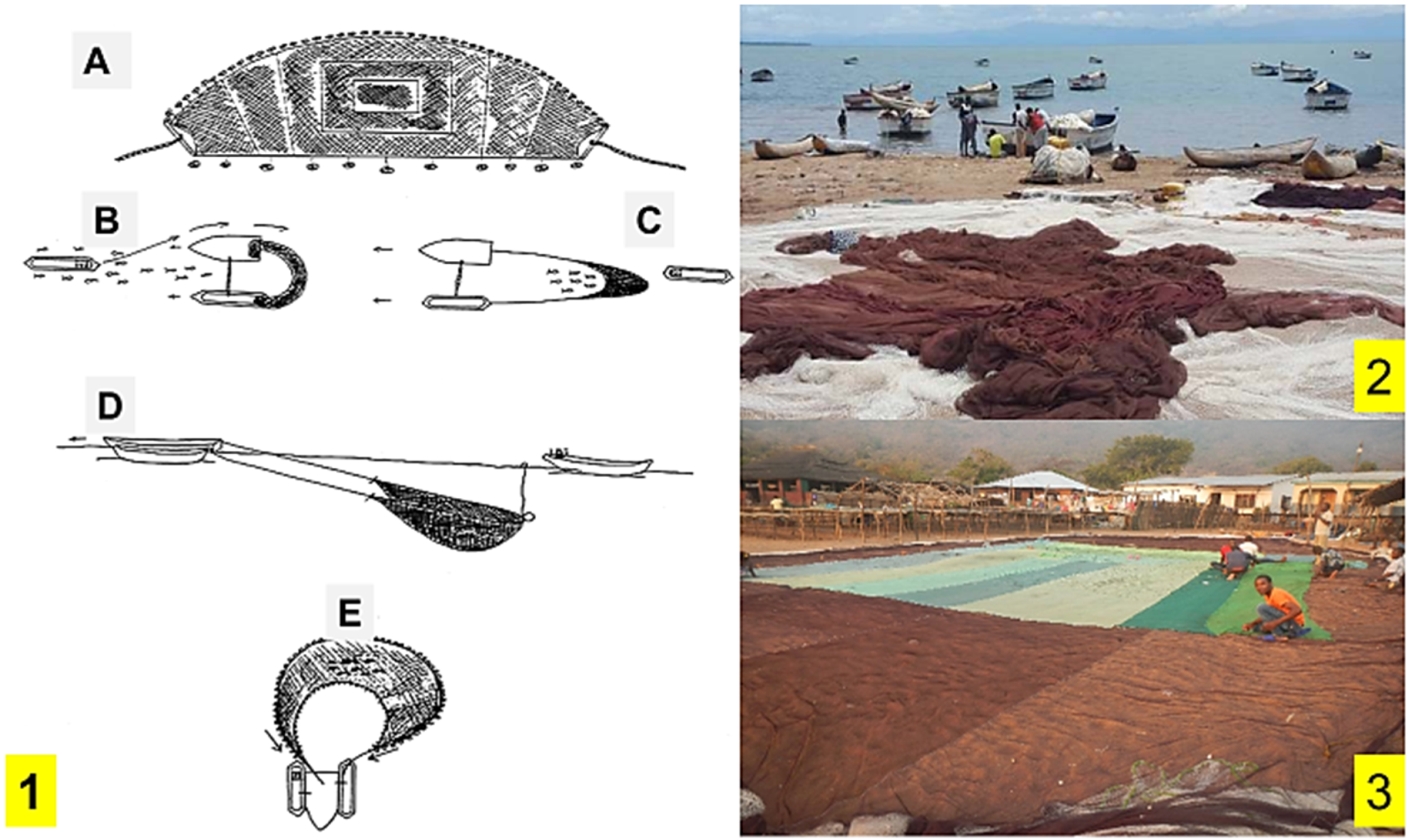 Sustainability 14 16018 g002 Sustainability 14 16018 g002