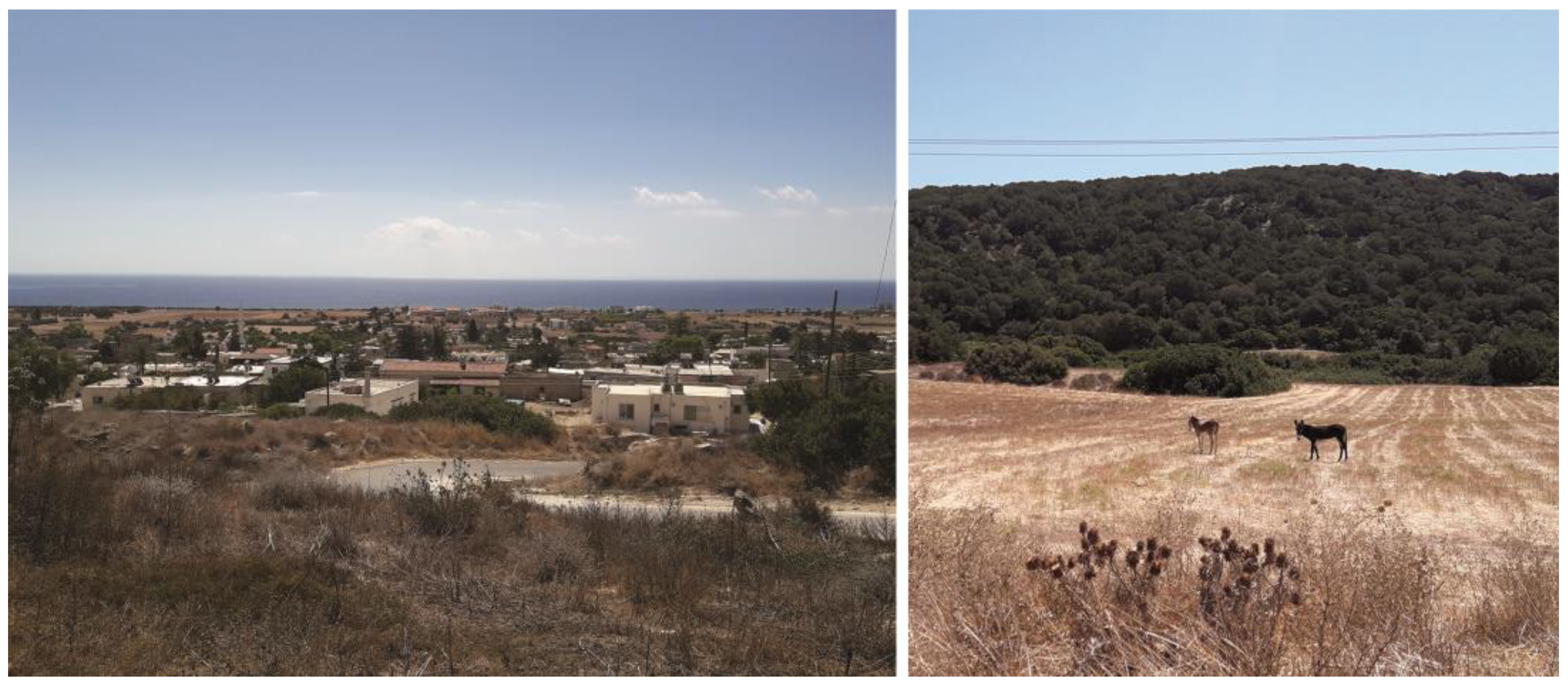 Sustainability 14 16070 g003