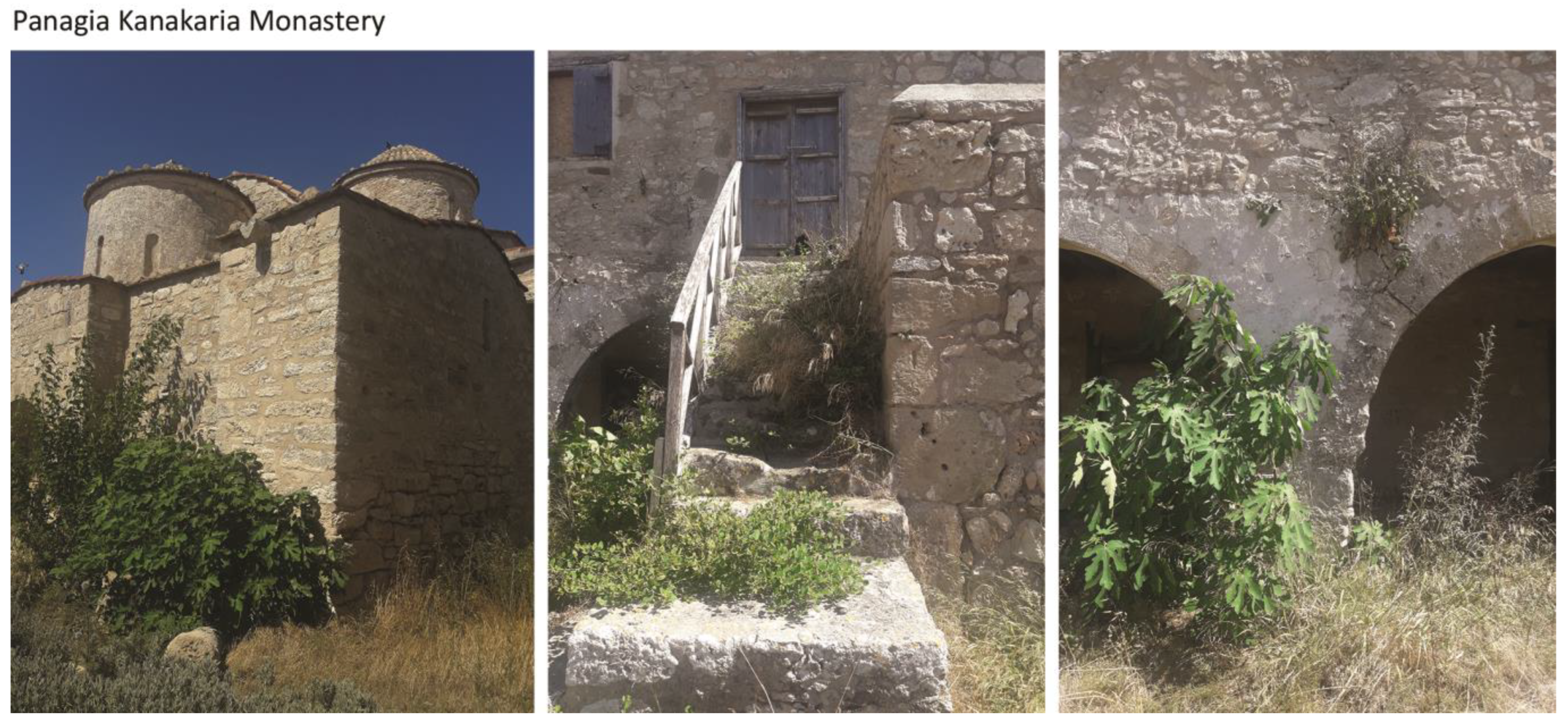 Sustainability 14 16070 g012