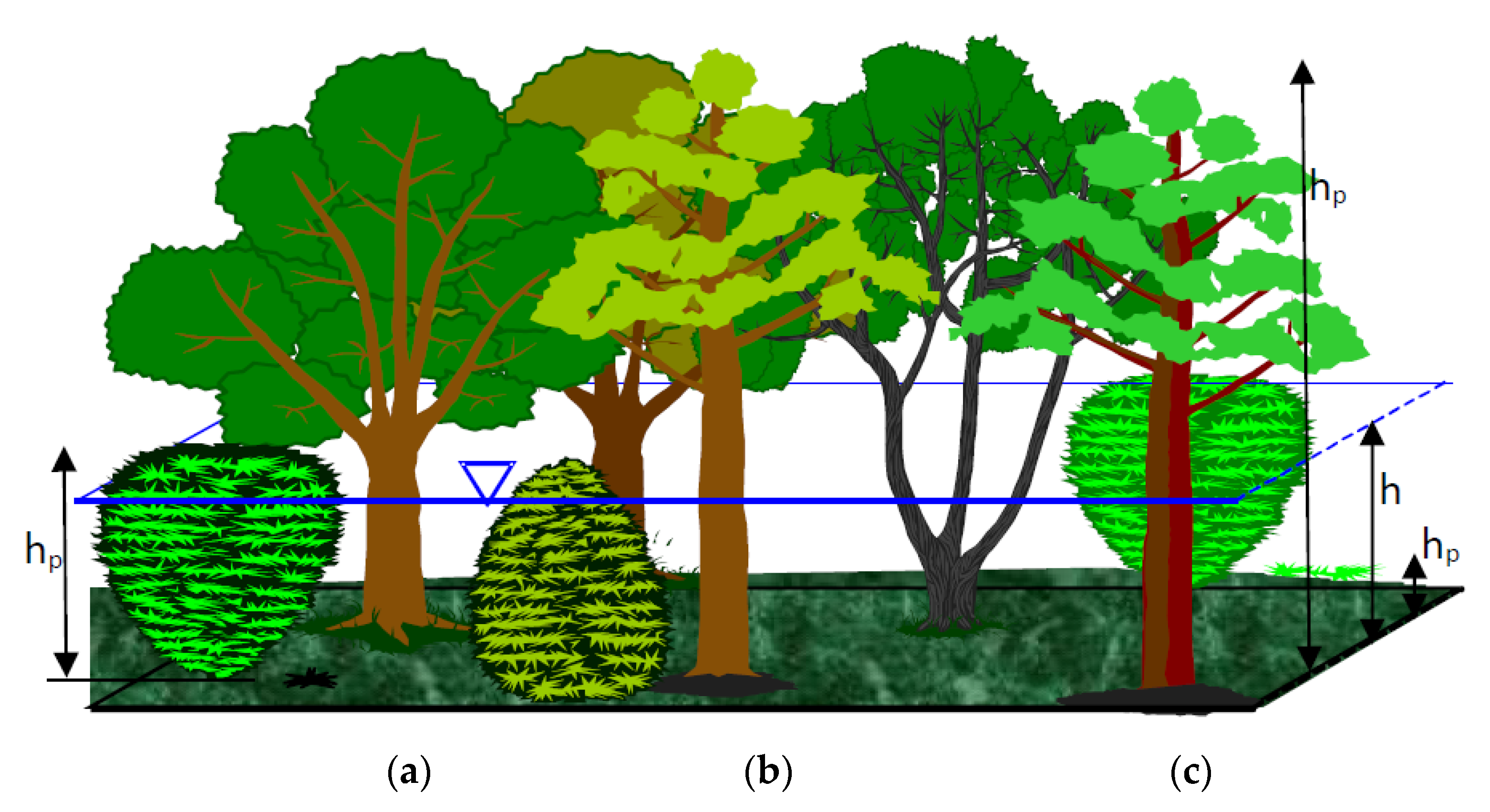 Sustainability 14 16170 g001 Sustainability 14 16170 g001