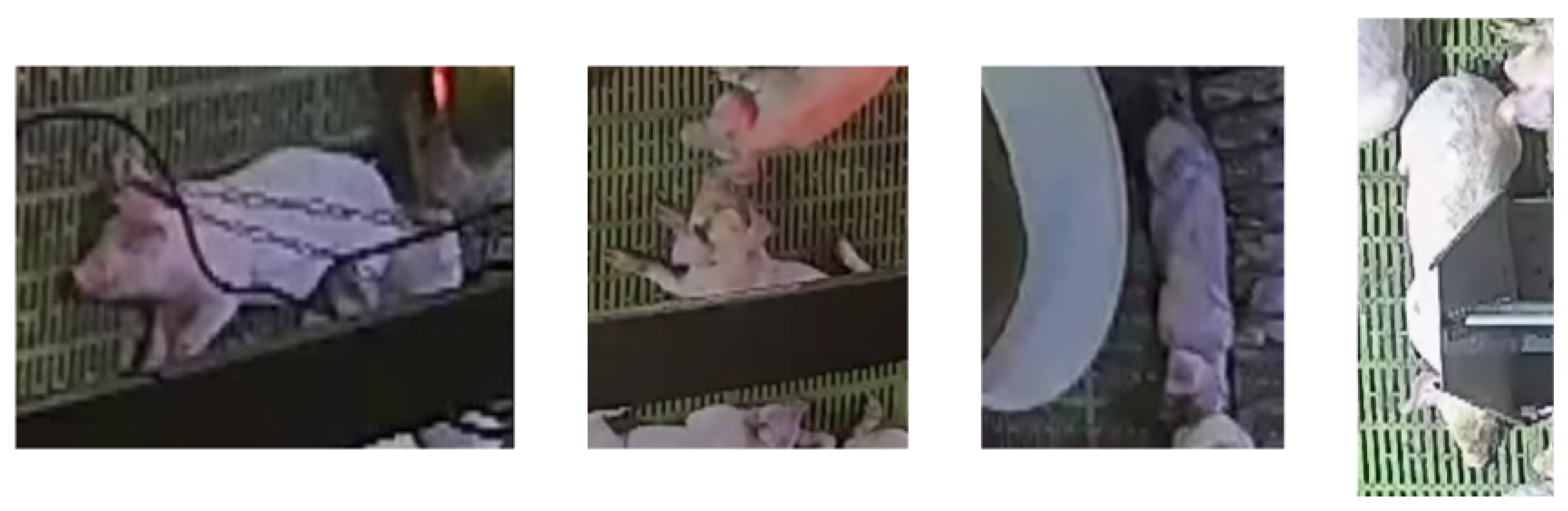 Sustainability 14 16181 g003 Sustainability 14 16181 g003