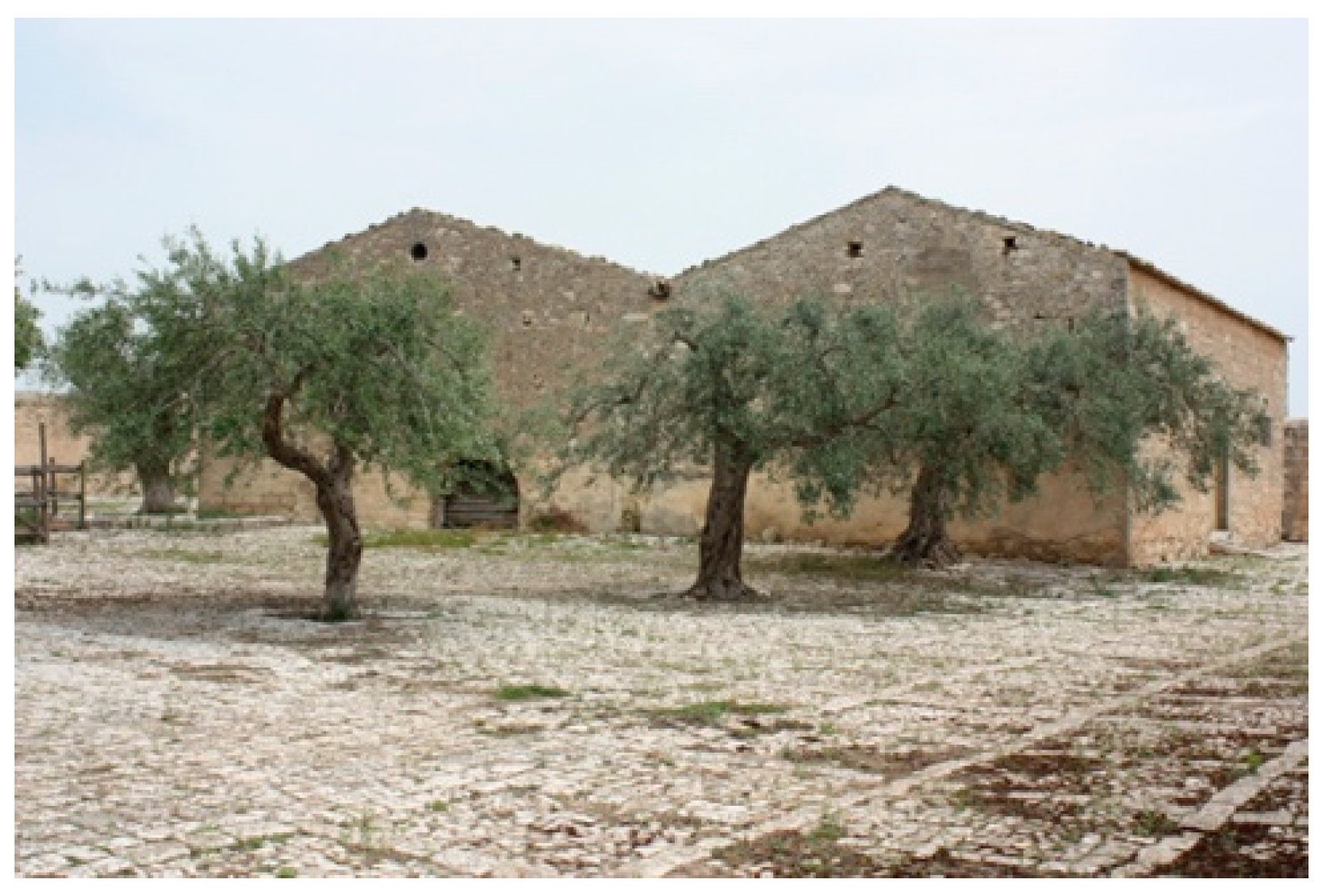 Sustainability 14 16206 g003