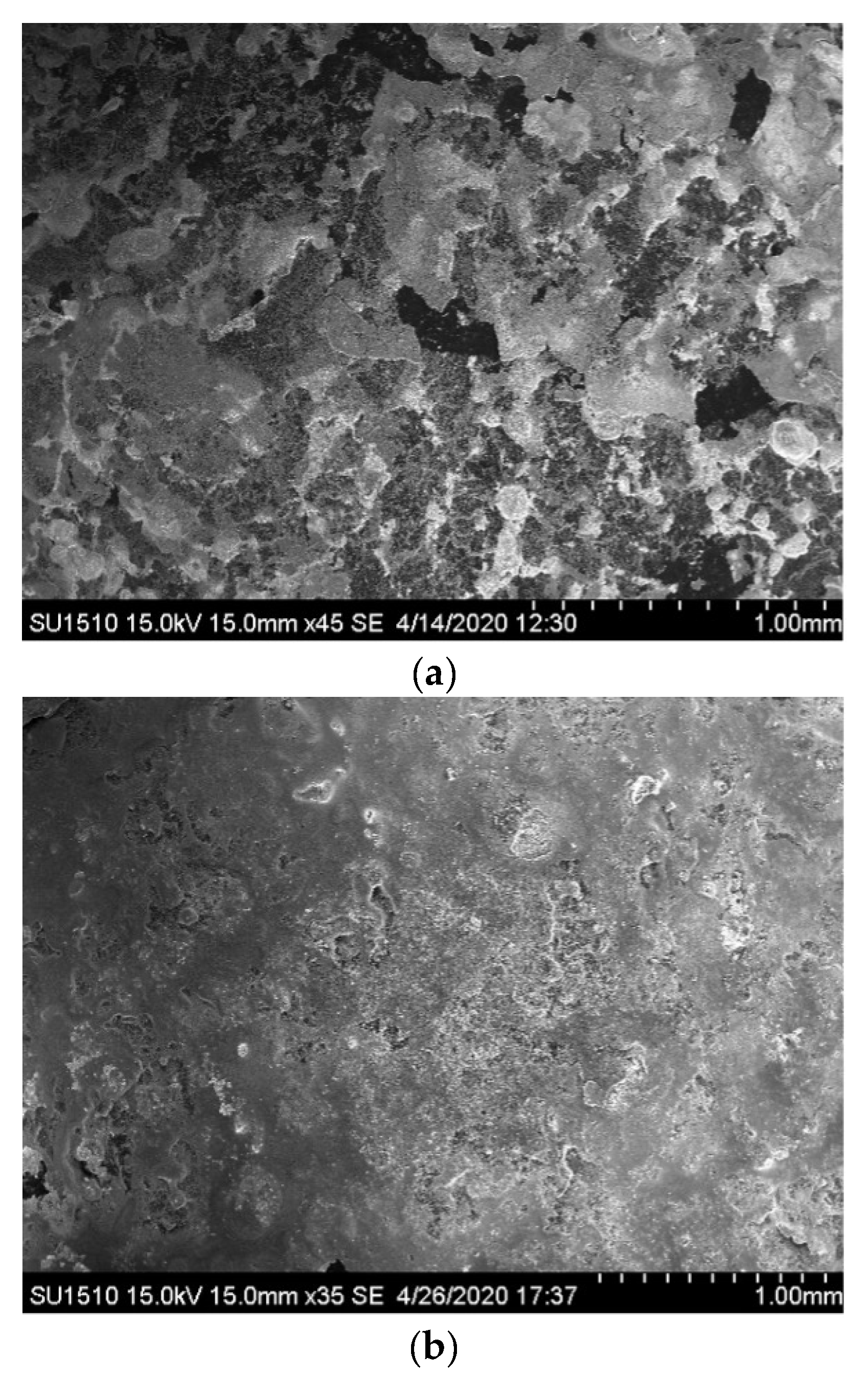 Sustainability 14 16235 g006