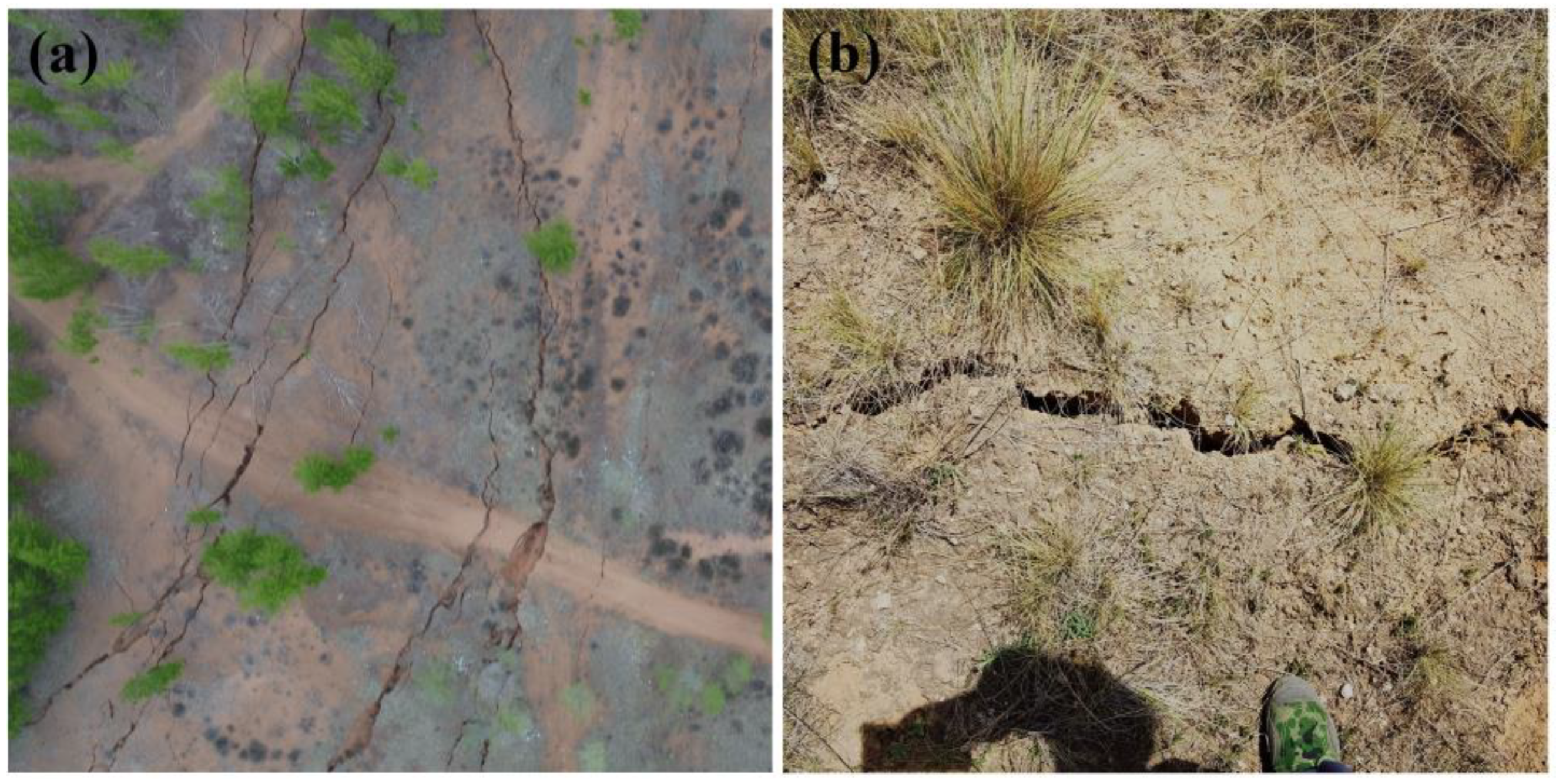 Sustainability 14 16238 g002 Sustainability 14 16238 g002