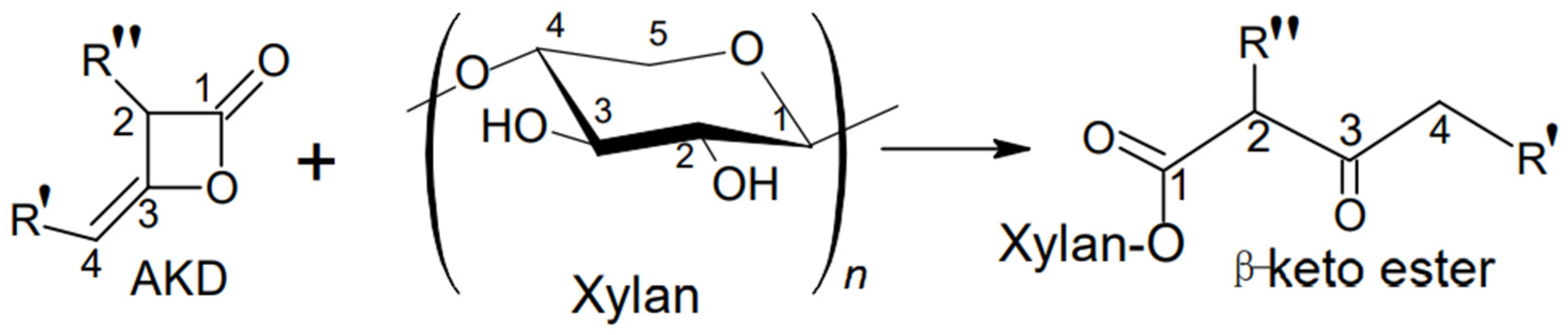 Sustainability 14 16255 g001 Sustainability 14 16255 g001