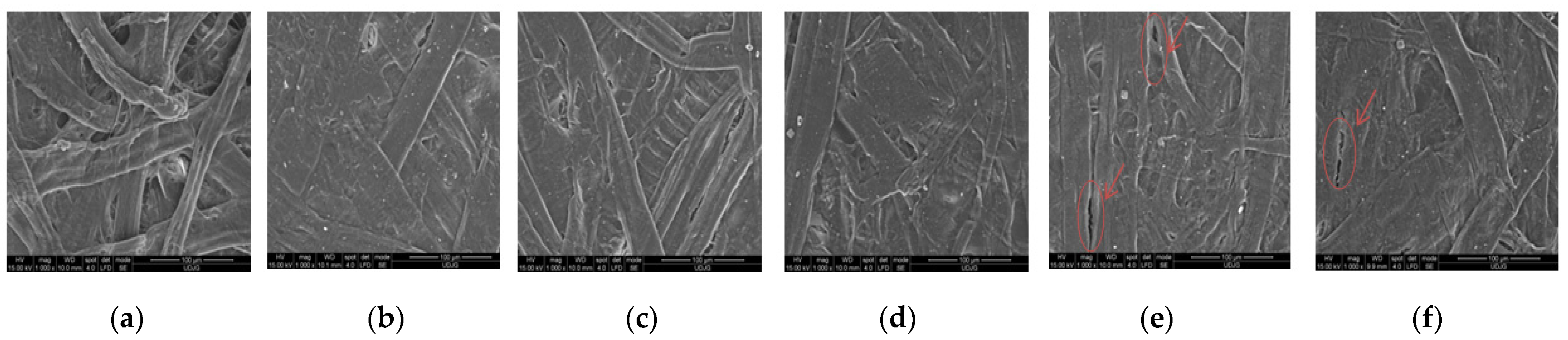 Sustainability 14 16255 g002 Sustainability 14 16255 g002