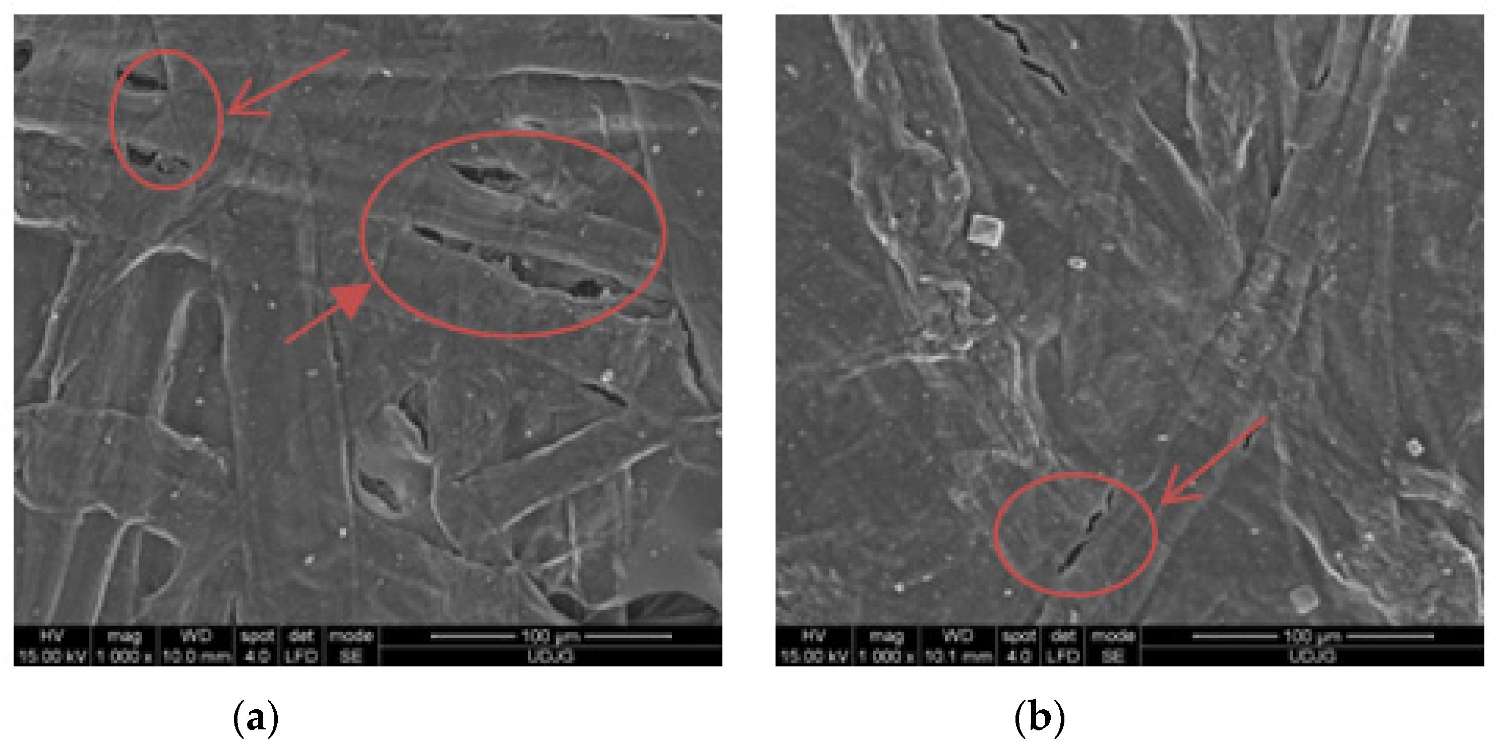 Sustainability 14 16255 g003 Sustainability 14 16255 g003