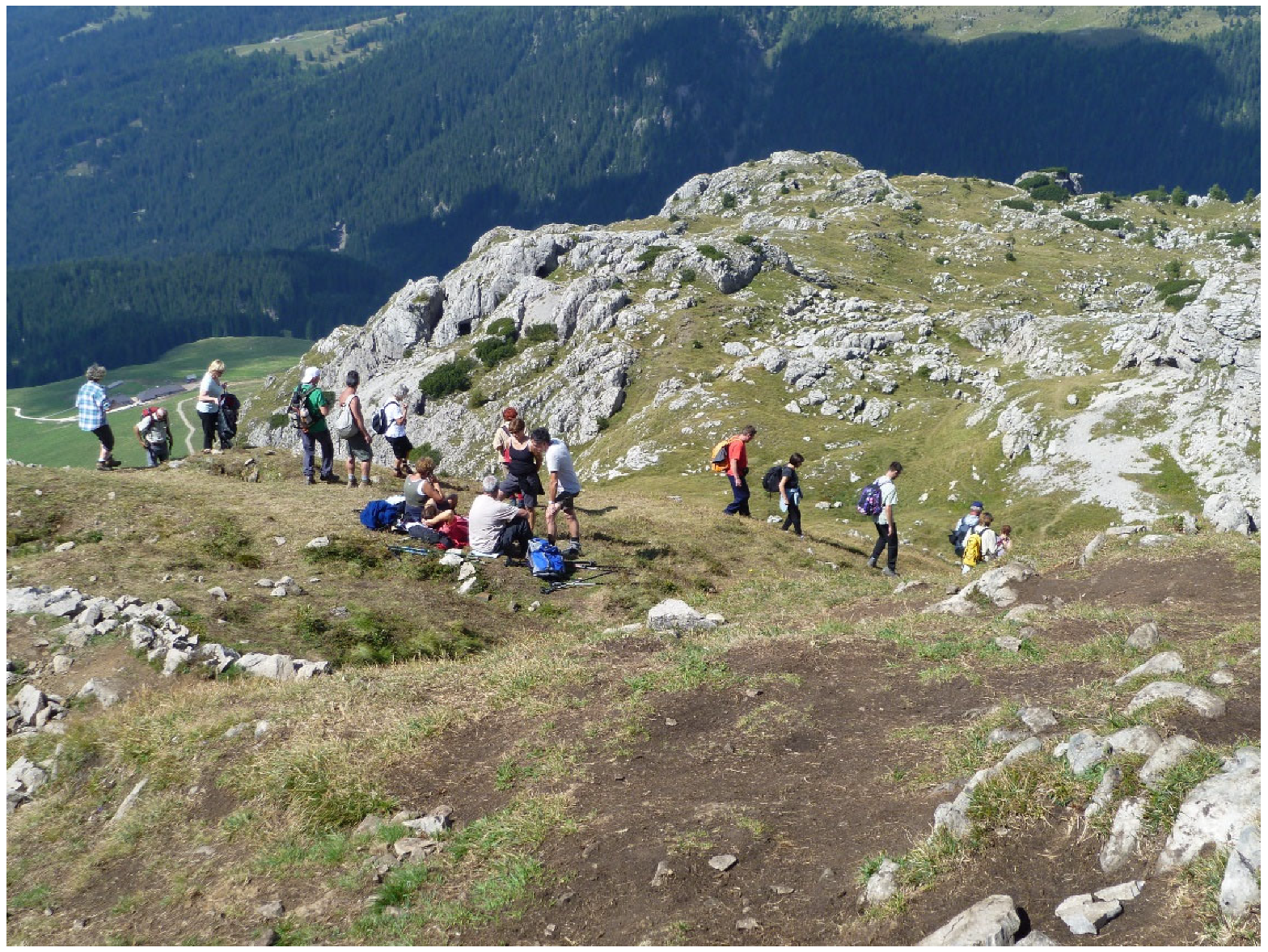 Sustainability 14 16331 g001