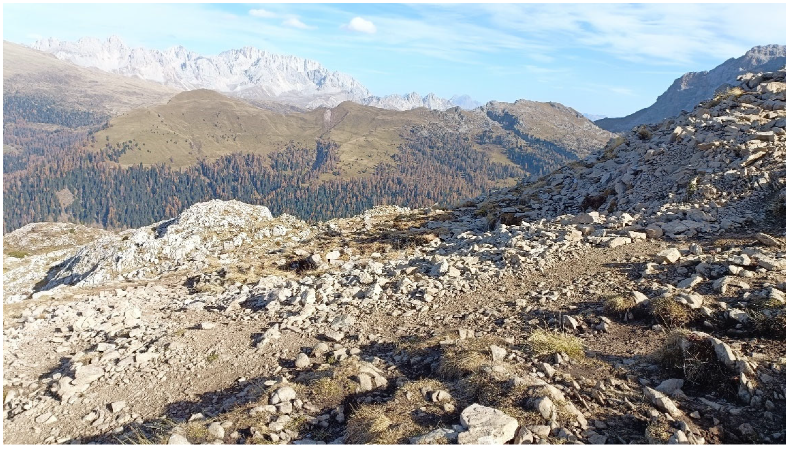 Sustainability 14 16331 g002