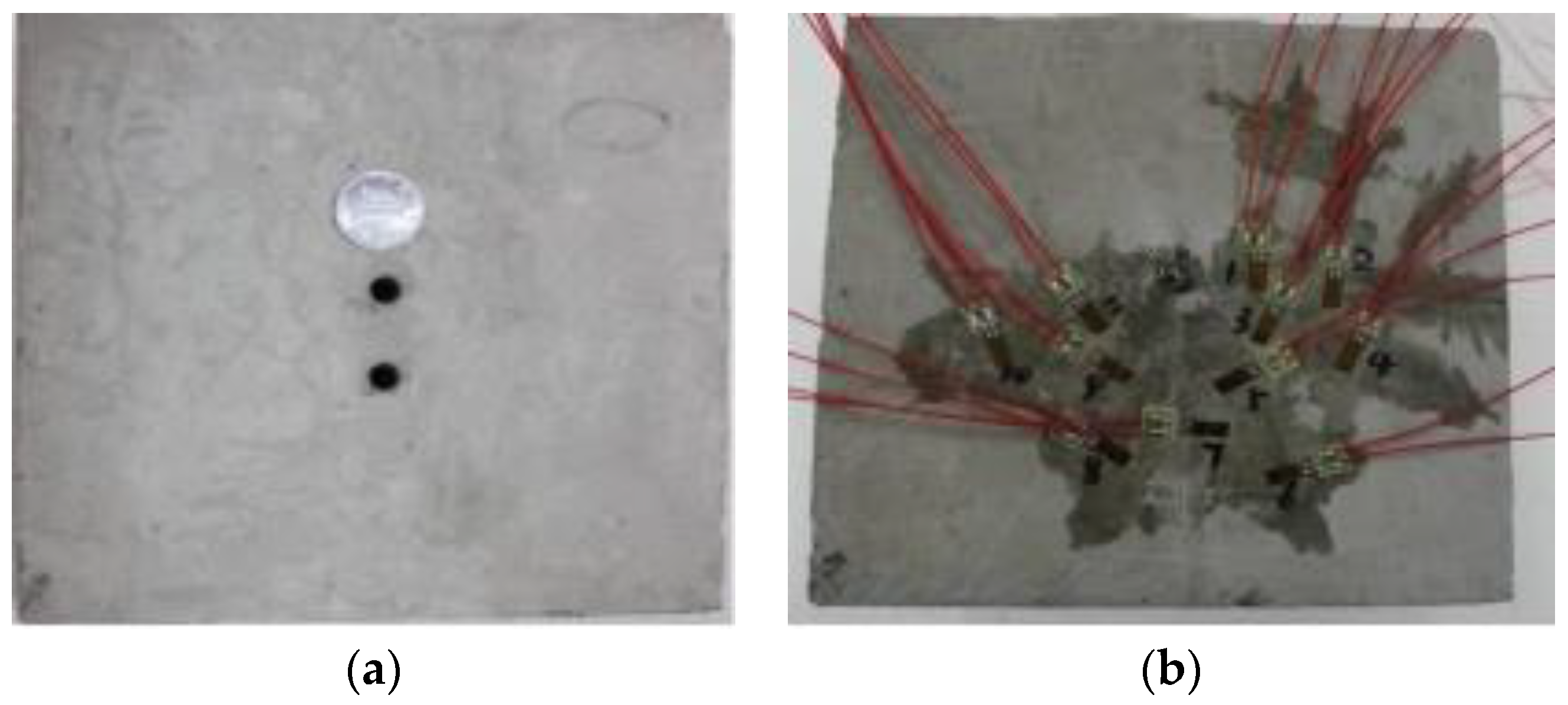 Sustainability 14 16342 g003 550