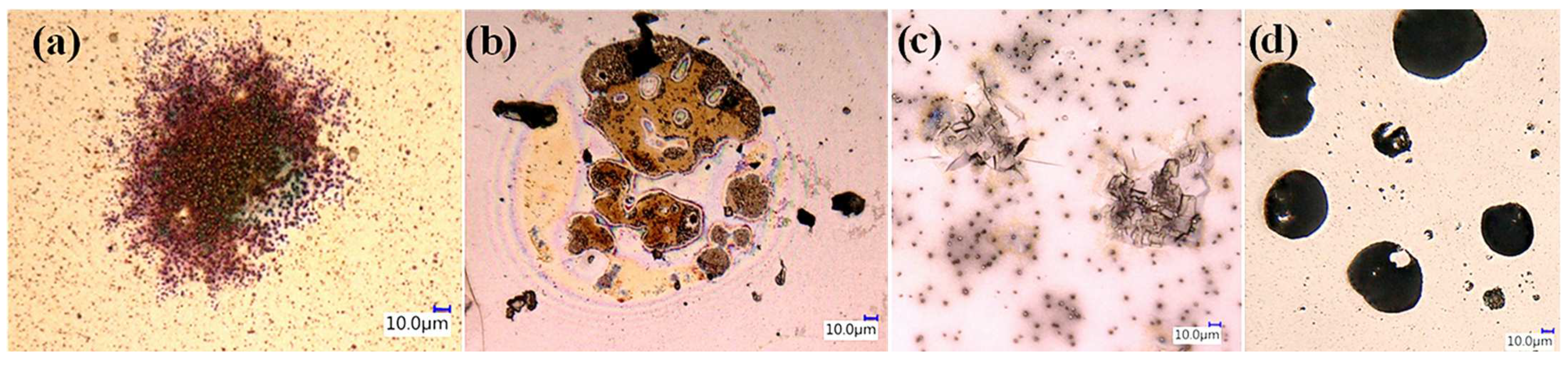Sustainability 14 16360 g009 Sustainability 14 16360 g009