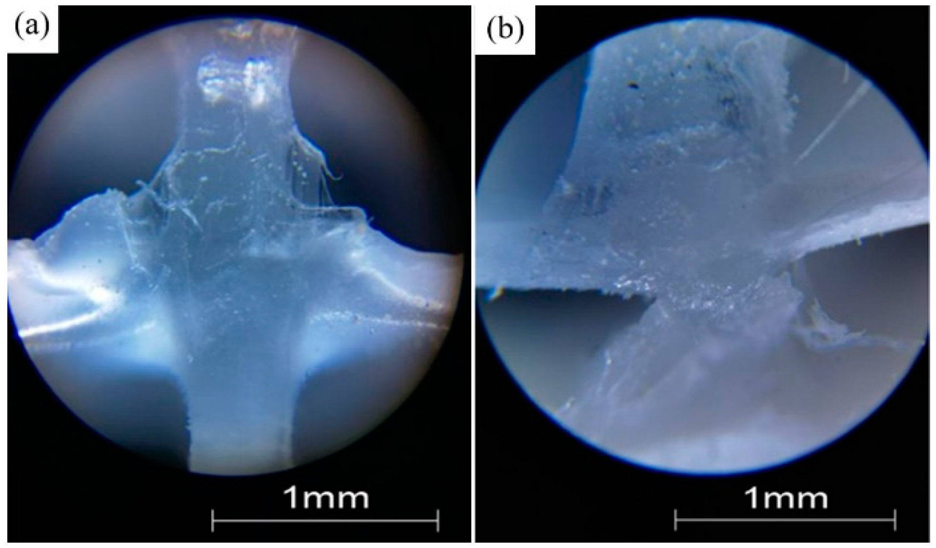Sustainability 14 16365 g009 Sustainability 14 16365 g009