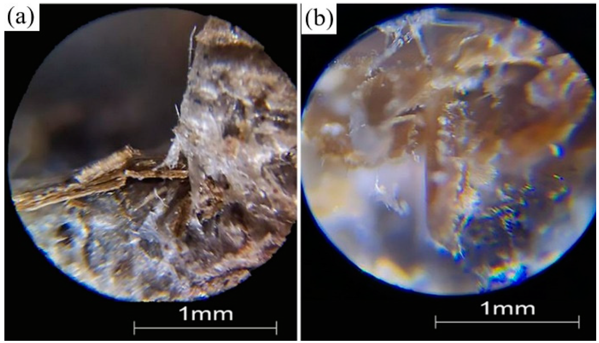 Sustainability 14 16365 g010 Sustainability 14 16365 g010
