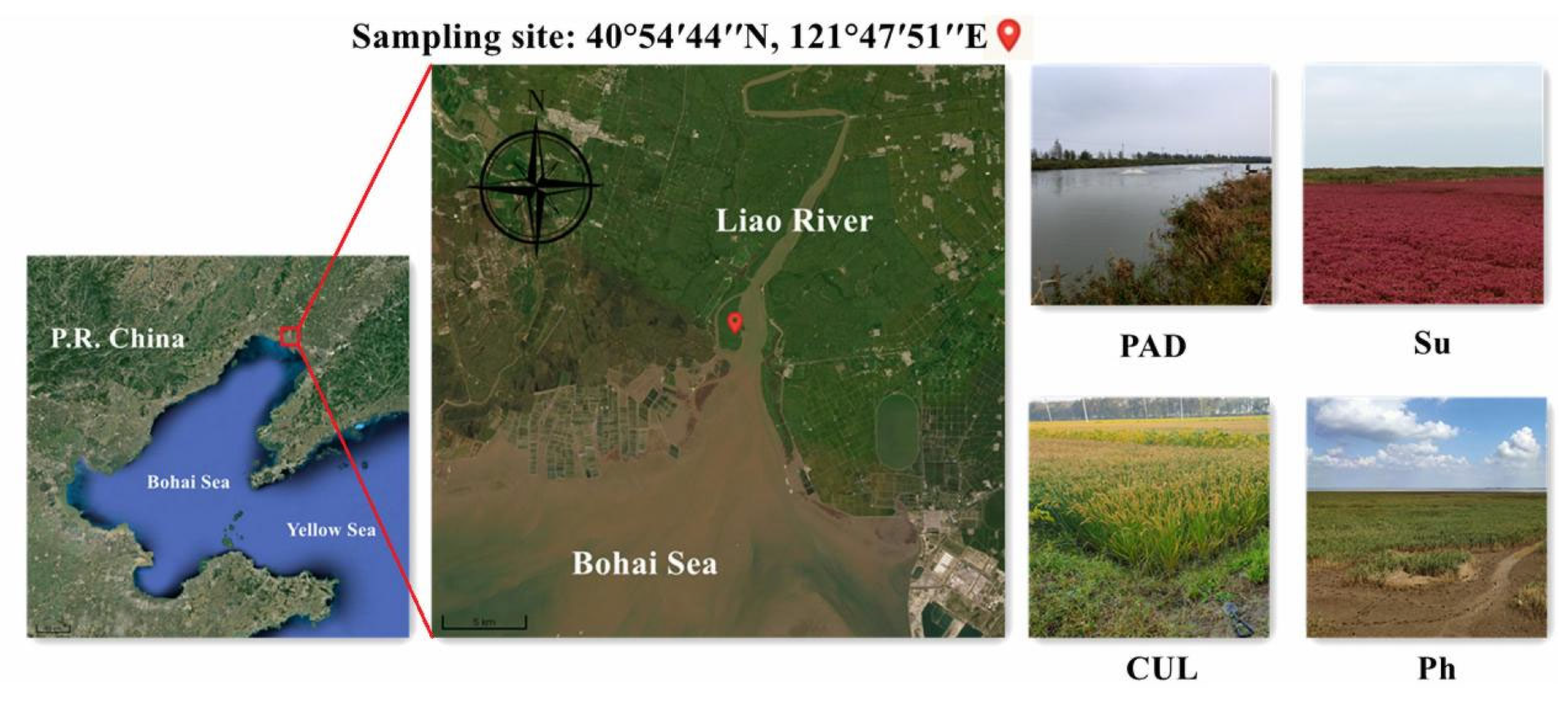 Sustainability 14 16396 g001