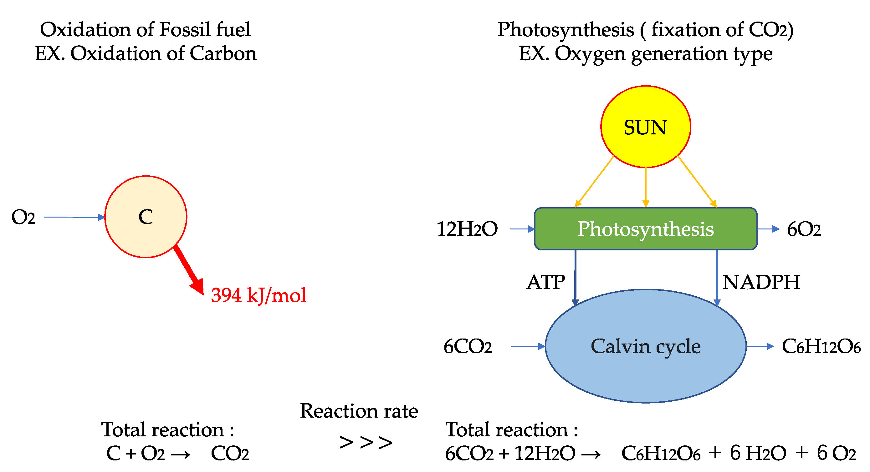 Sustainability 14 16408 g004