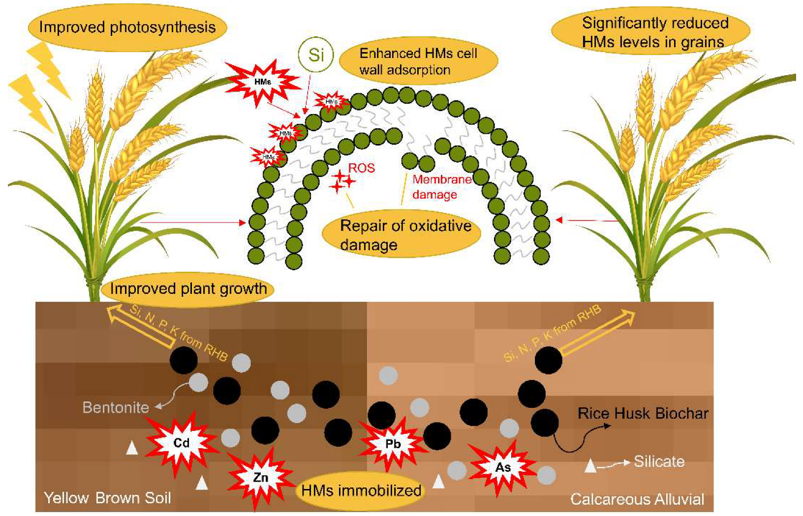 Sustainability 14 16417 g006 Sustainability 14 16417 g006