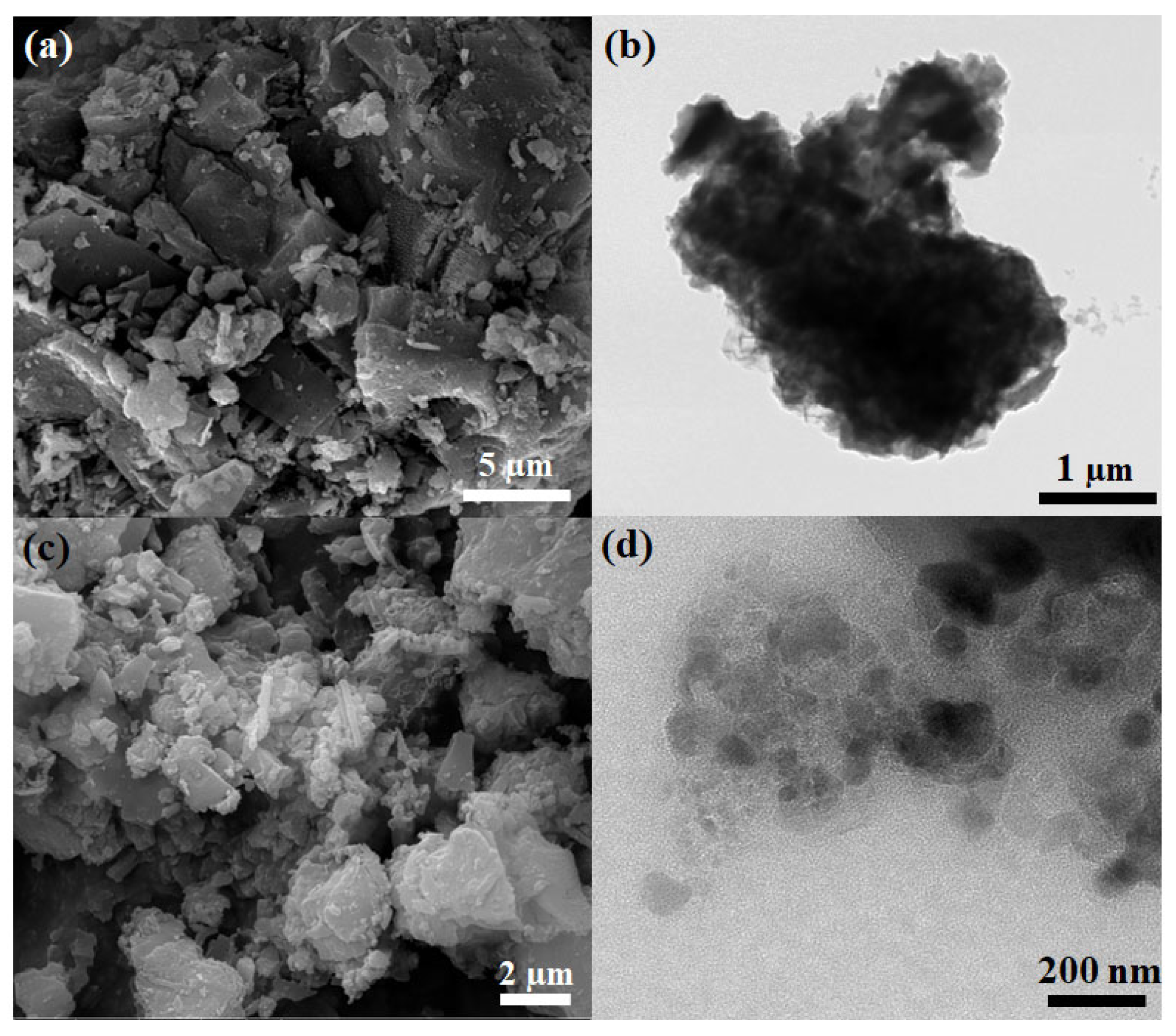 Sustainability 14 16419 g002 Sustainability 14 16419 g002