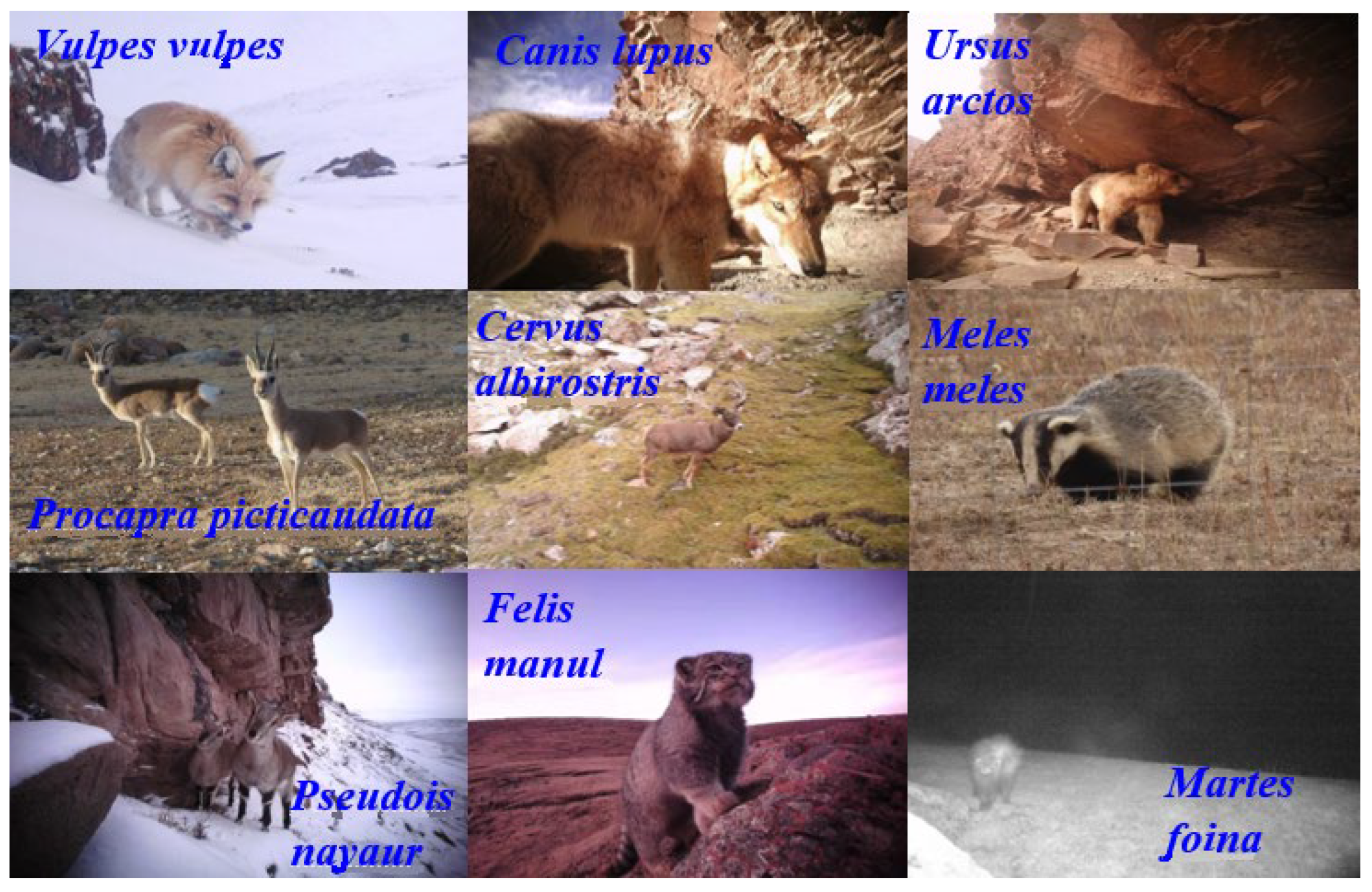 Sustainability 14 16452 g0a1