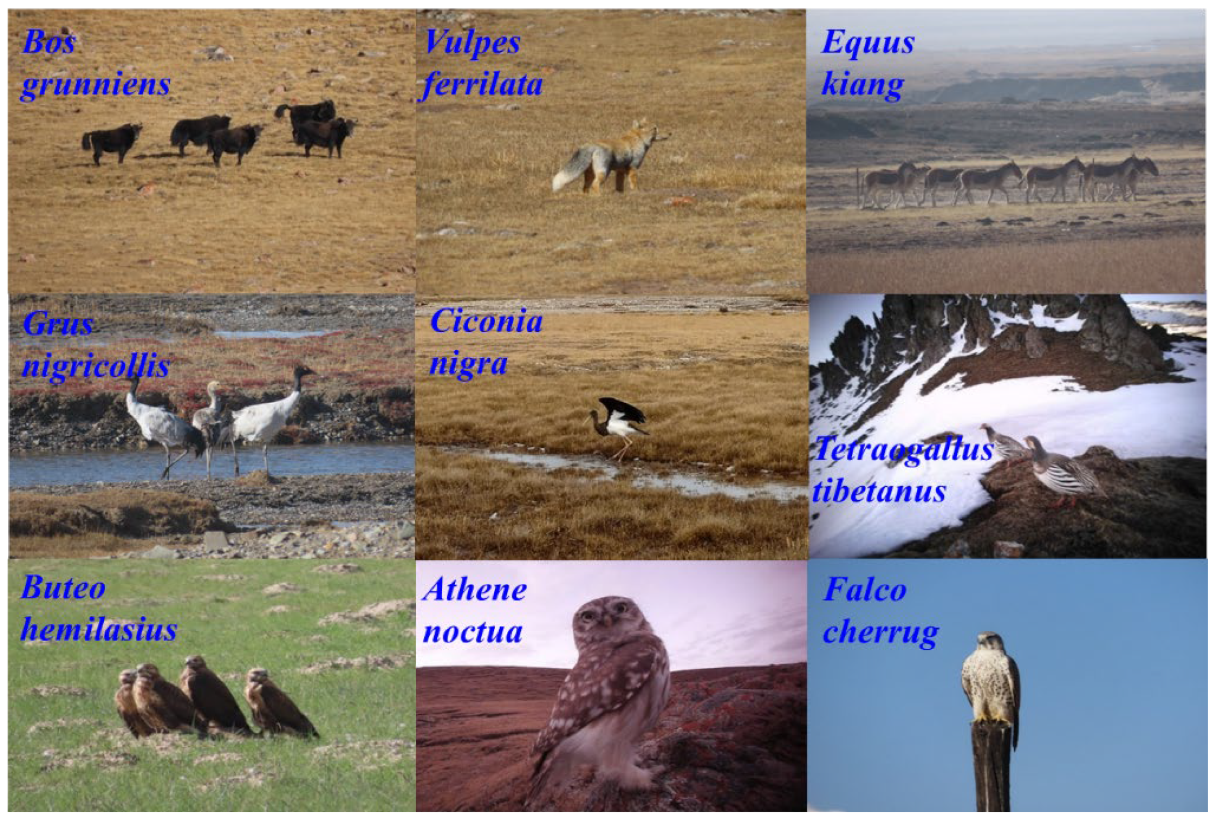 Sustainability 14 16452 g0a2