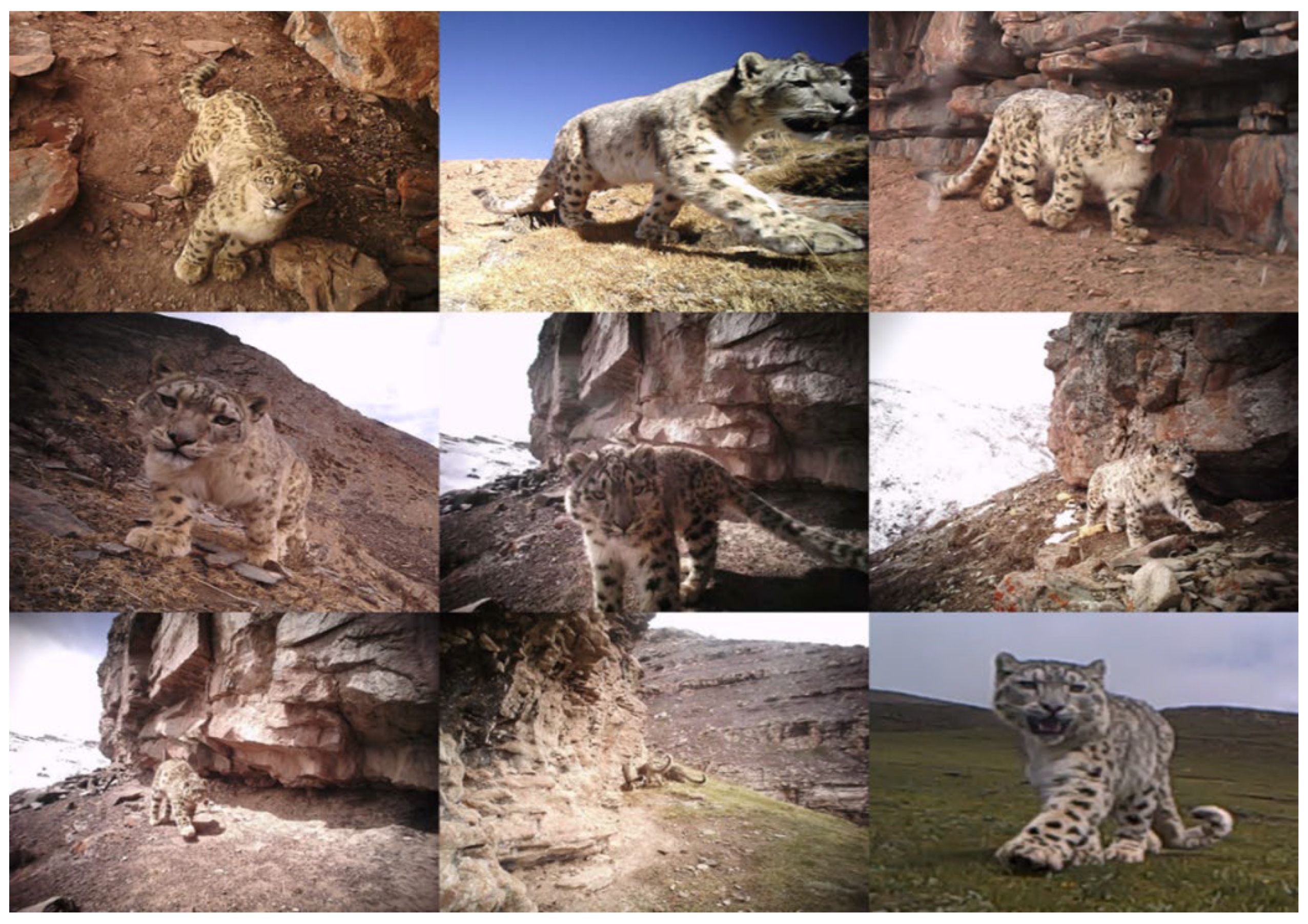 Sustainability 14 16452 g0a3