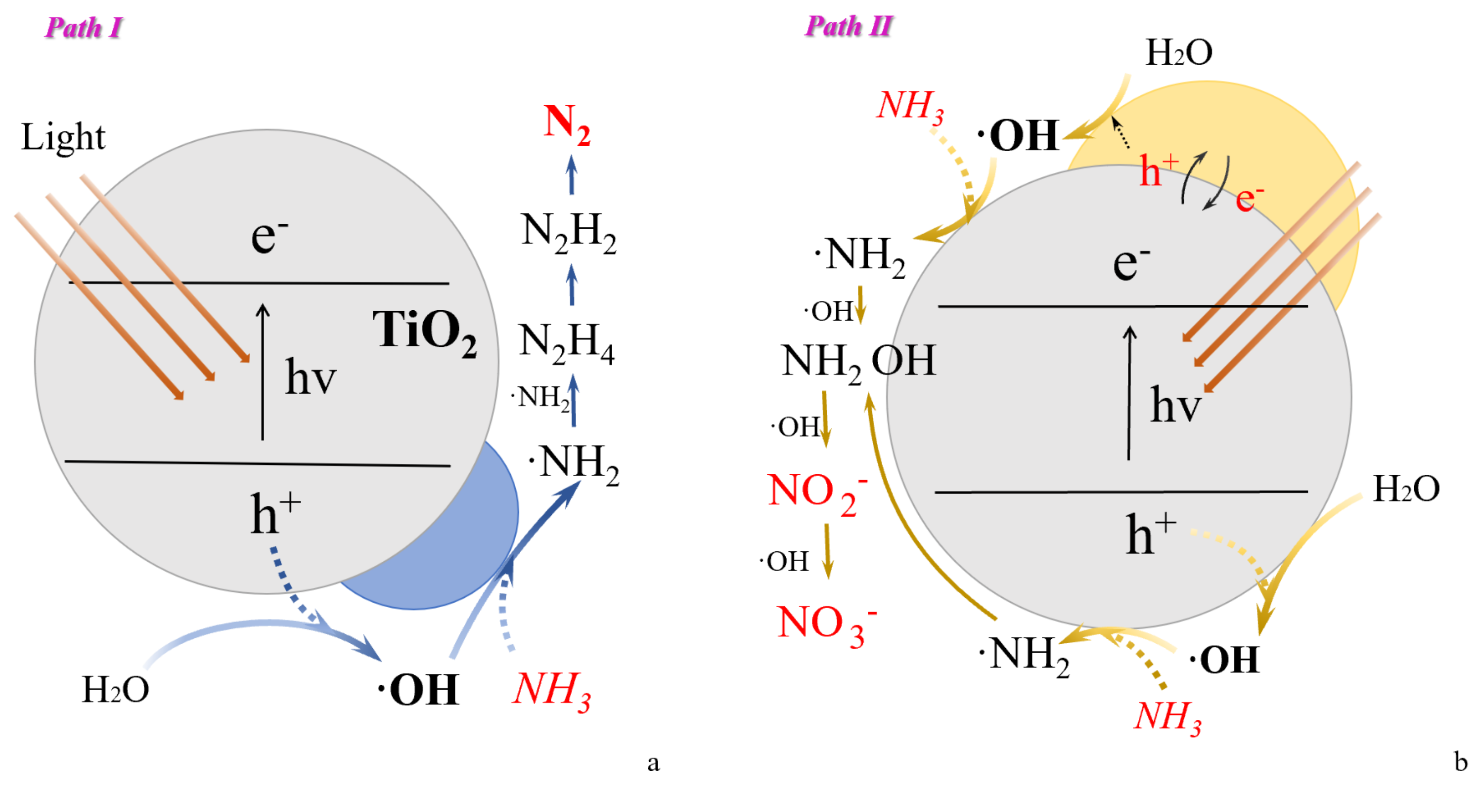 Sustainability 14 16453 g002 Sustainability 14 16453 g002