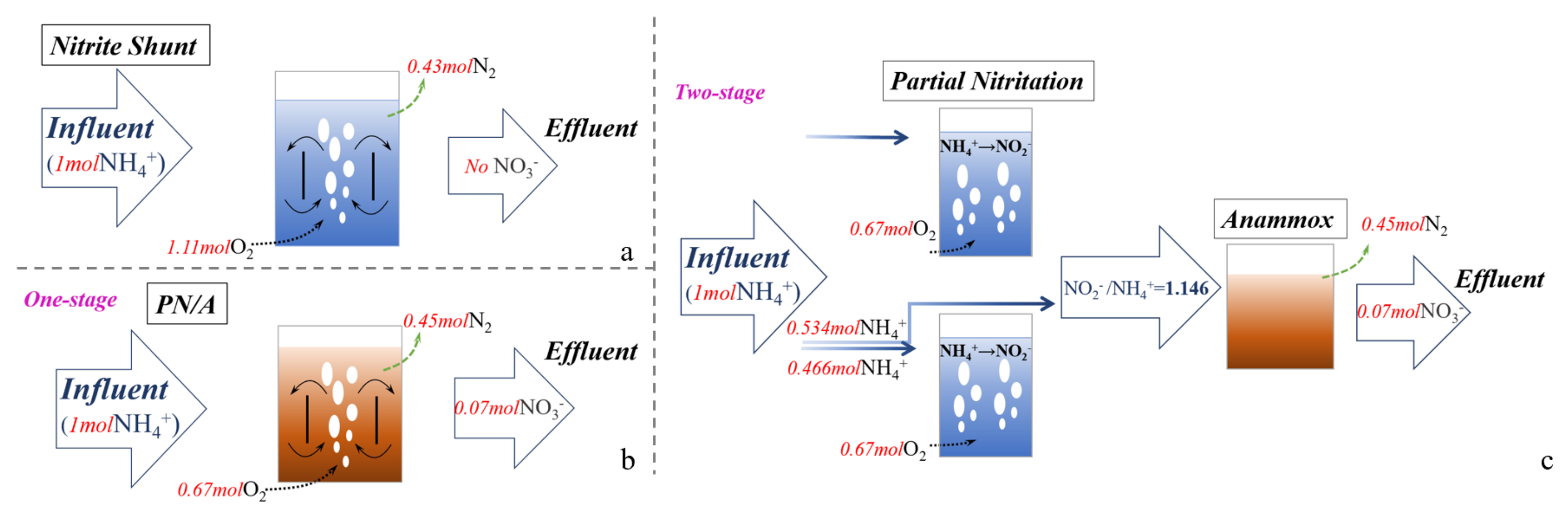 Synergy between Comammox and Anammox Bacteria in Wastewater