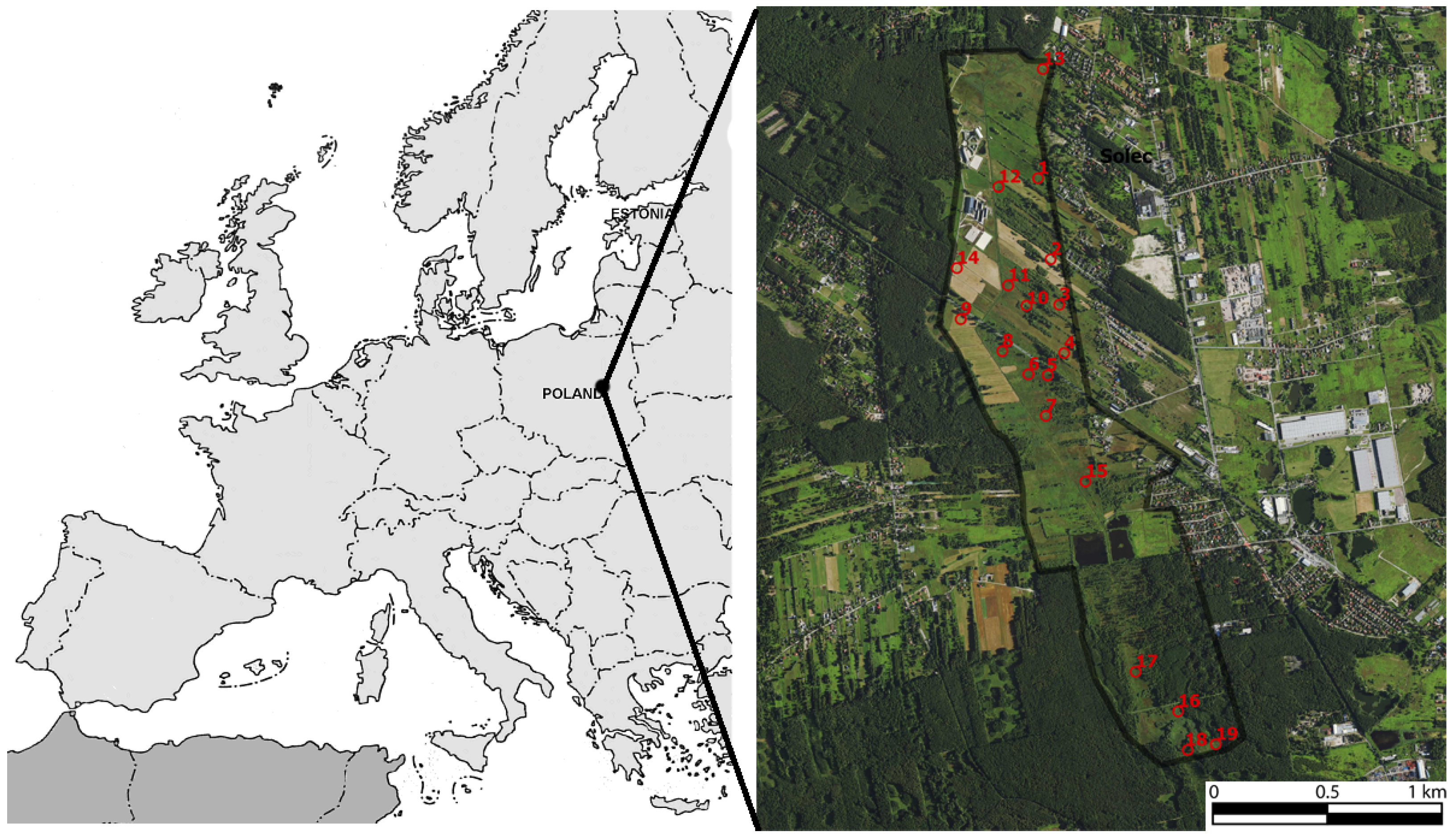 Sustainability 14 16459 g001 Sustainability 14 16459 g001