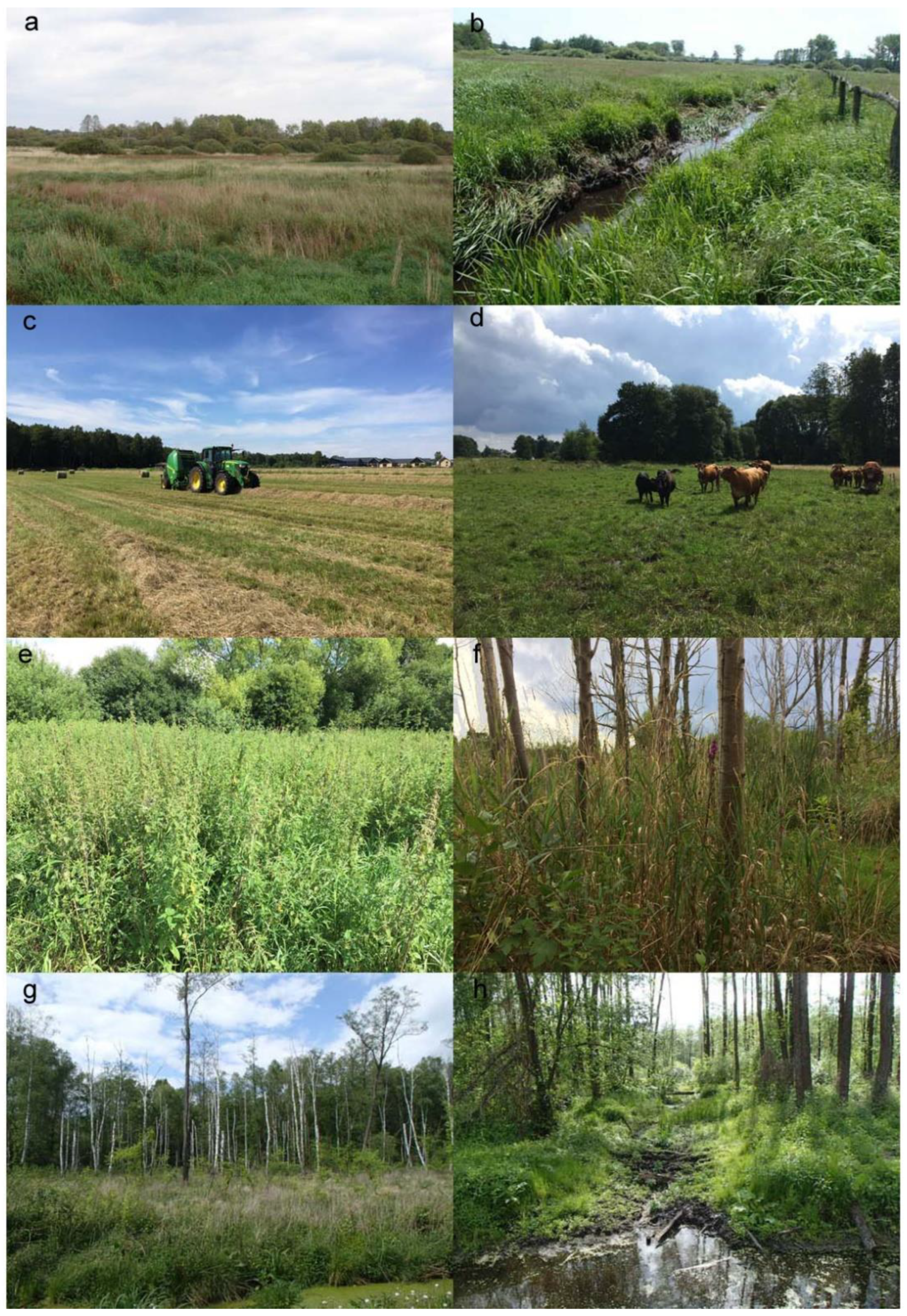 Sustainability 14 16459 g002 Sustainability 14 16459 g002