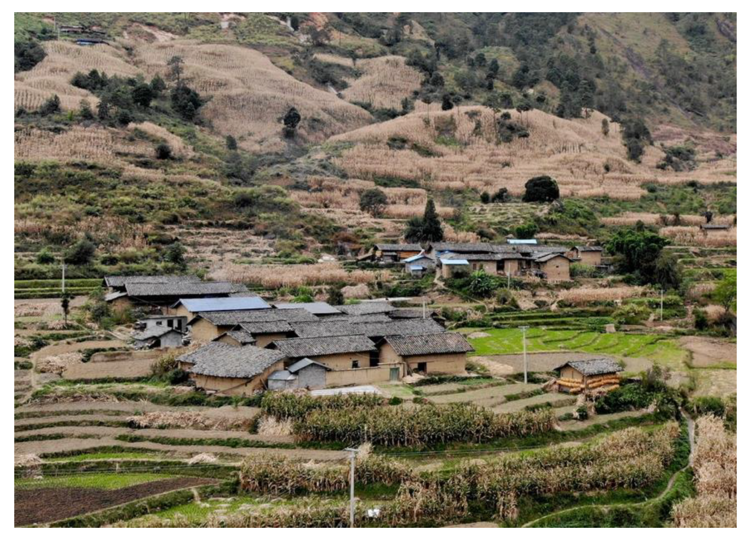 Sustainability 14 16461 g001 Sustainability 14 16461 g001