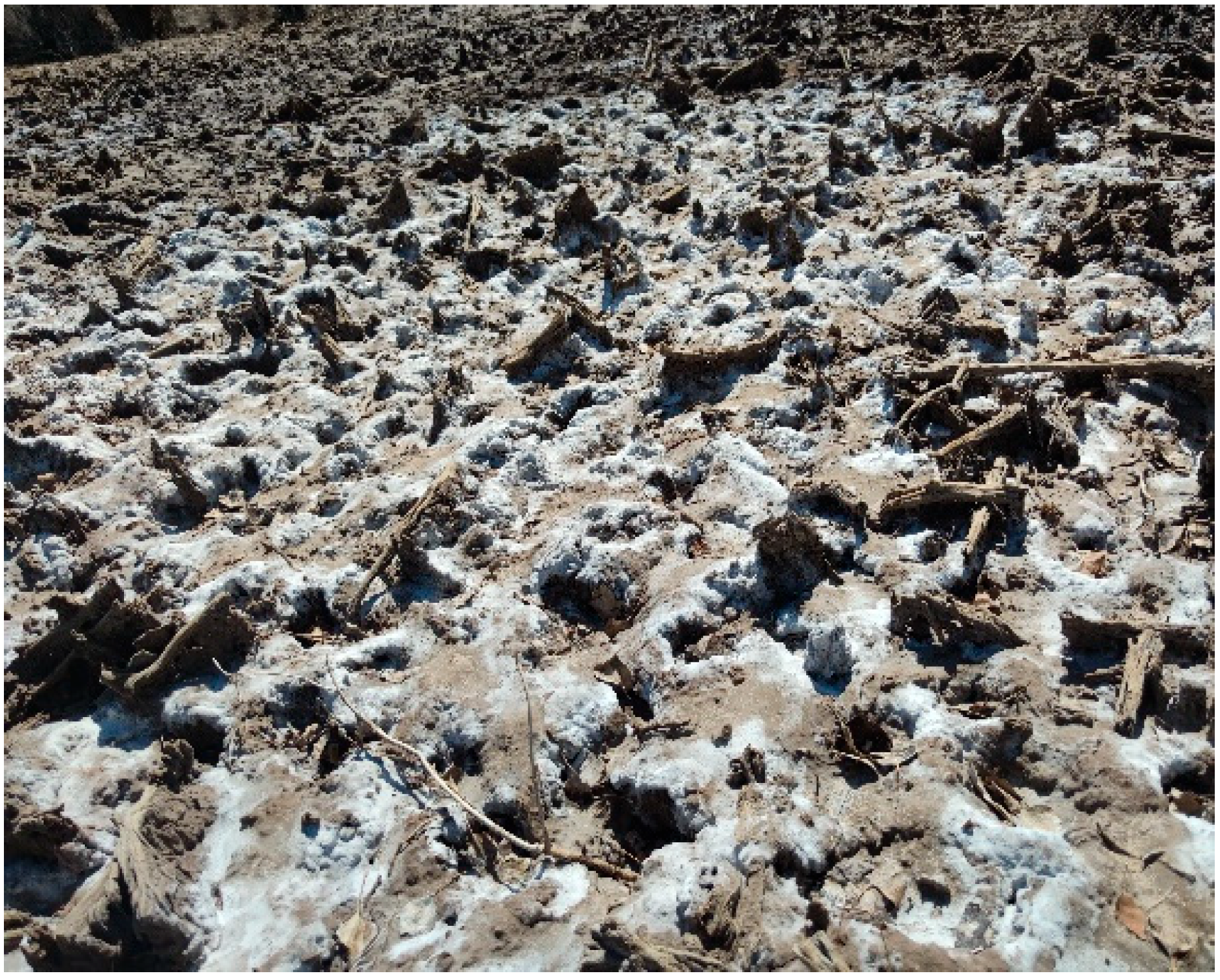 Sustainability 14 16486 g004 Sustainability 14 16486 g004