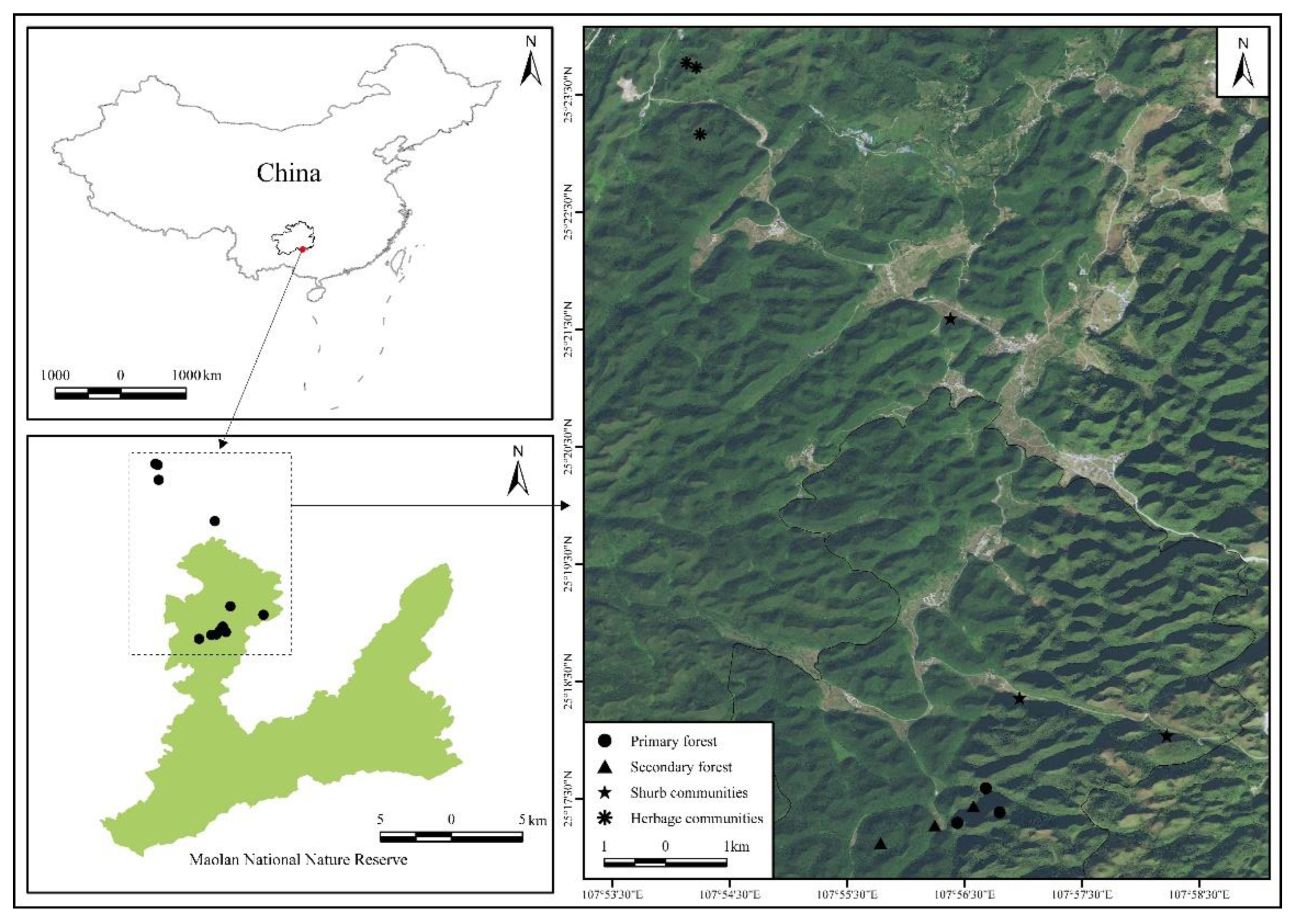 Stoichiometric Characteristics of Leaf, Litter and Soil