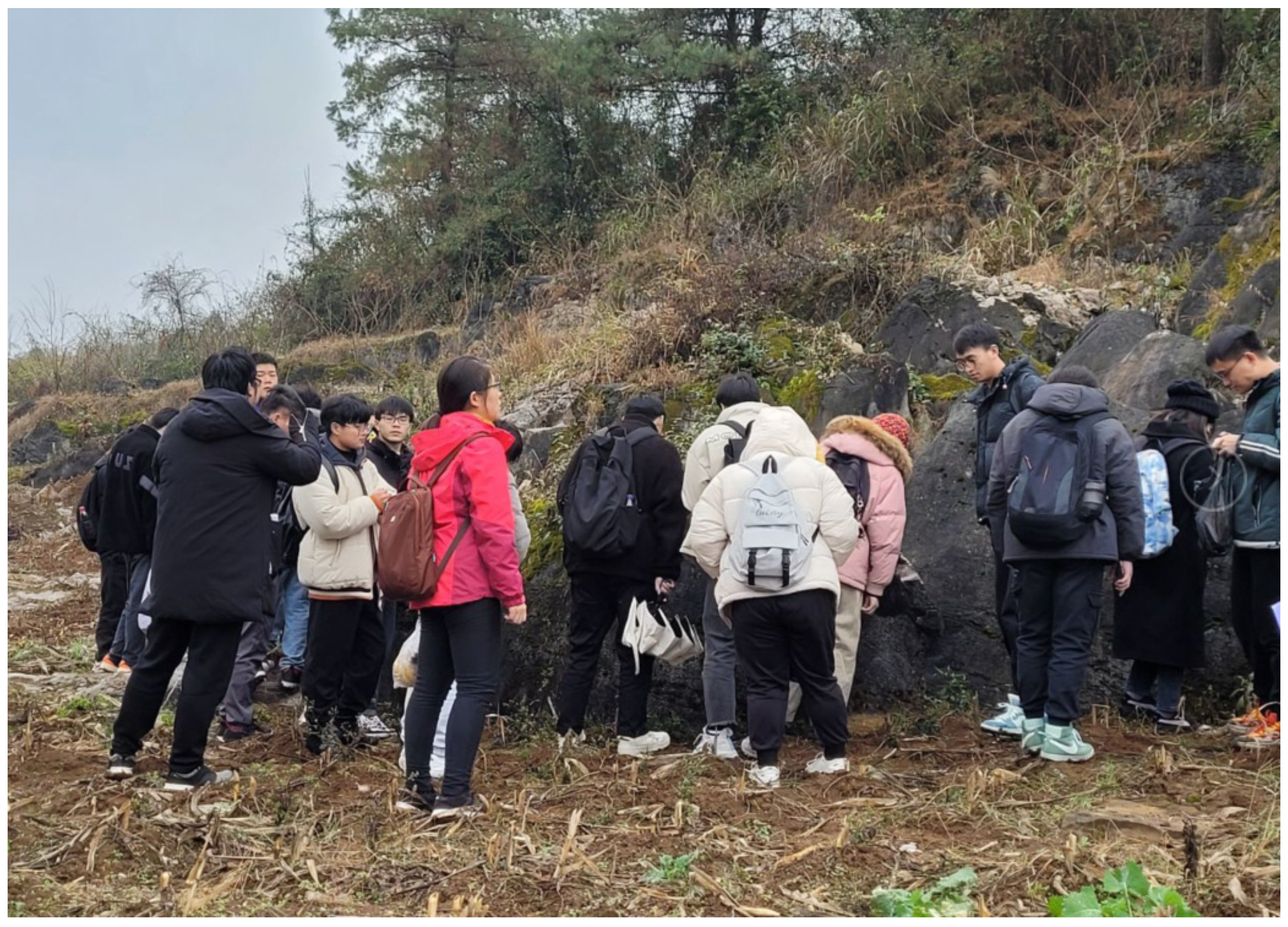 Sustainability 14 16523 g006