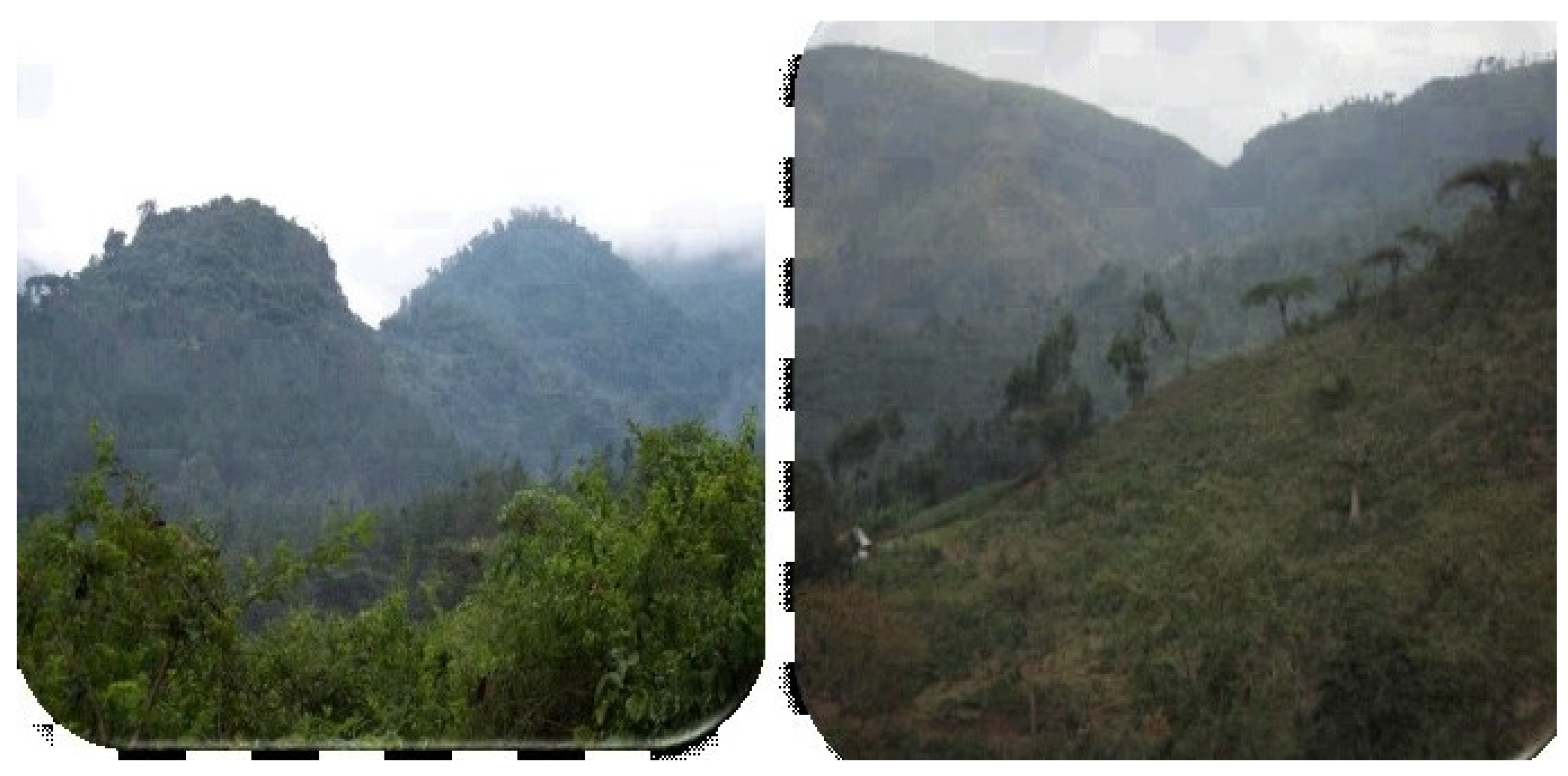 Sustainability 14 16527 g004 Sustainability 14 16527 g004