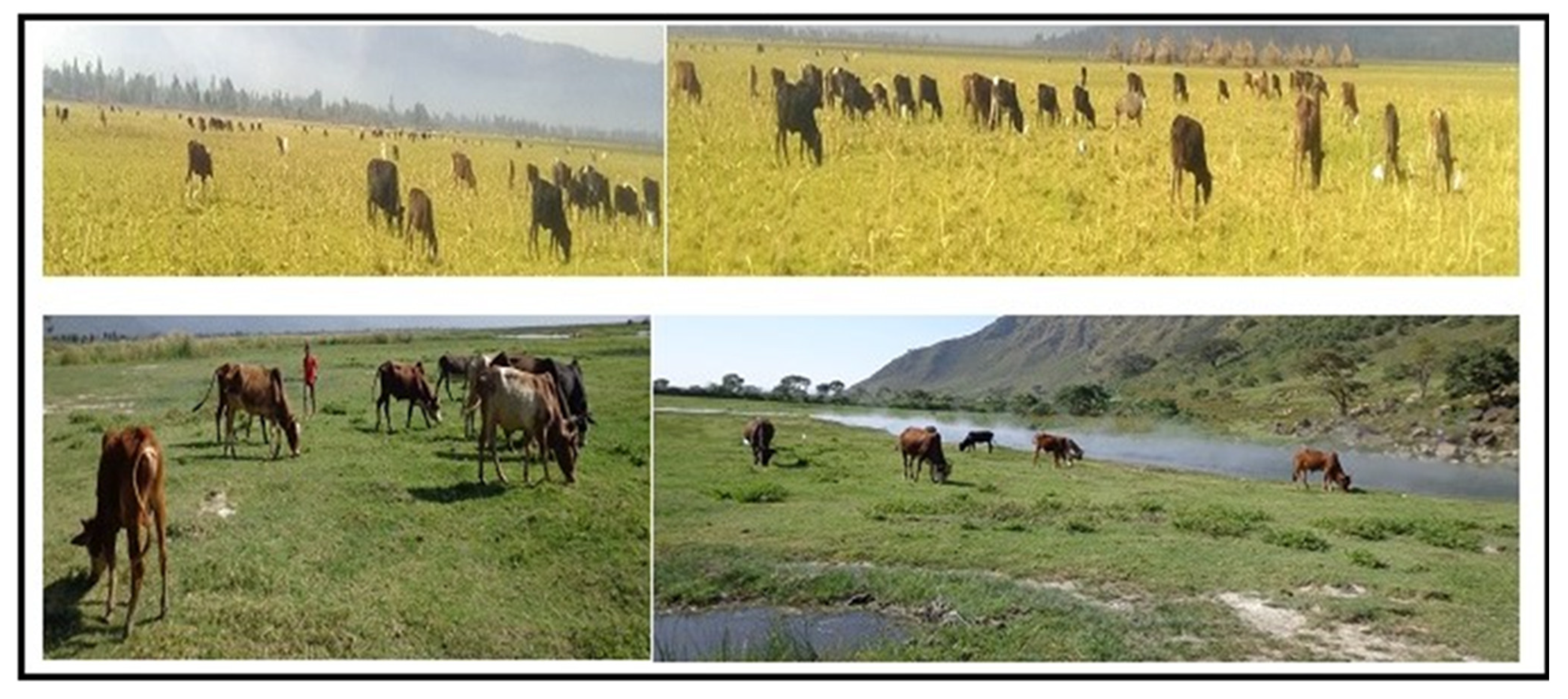 Sustainability 14 16527 g008 Sustainability 14 16527 g008