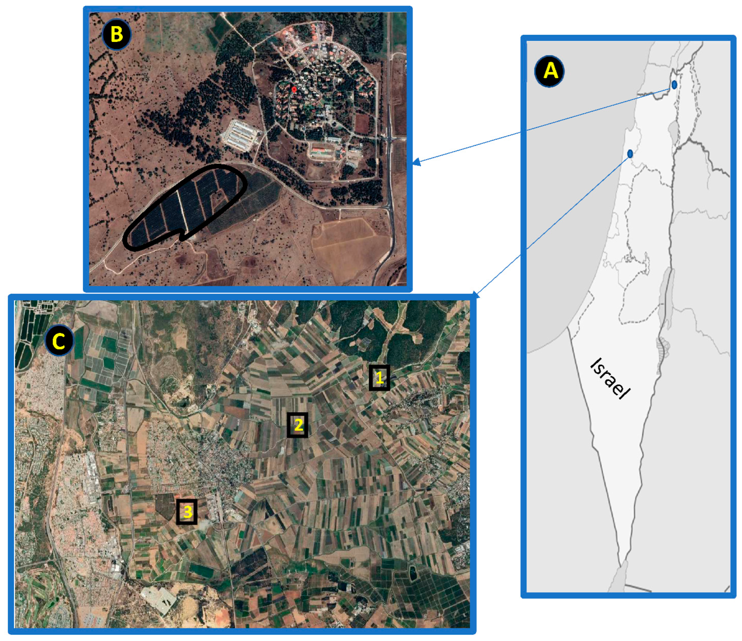 Sustainability 14 16566 g001 Sustainability 14 16566 g001