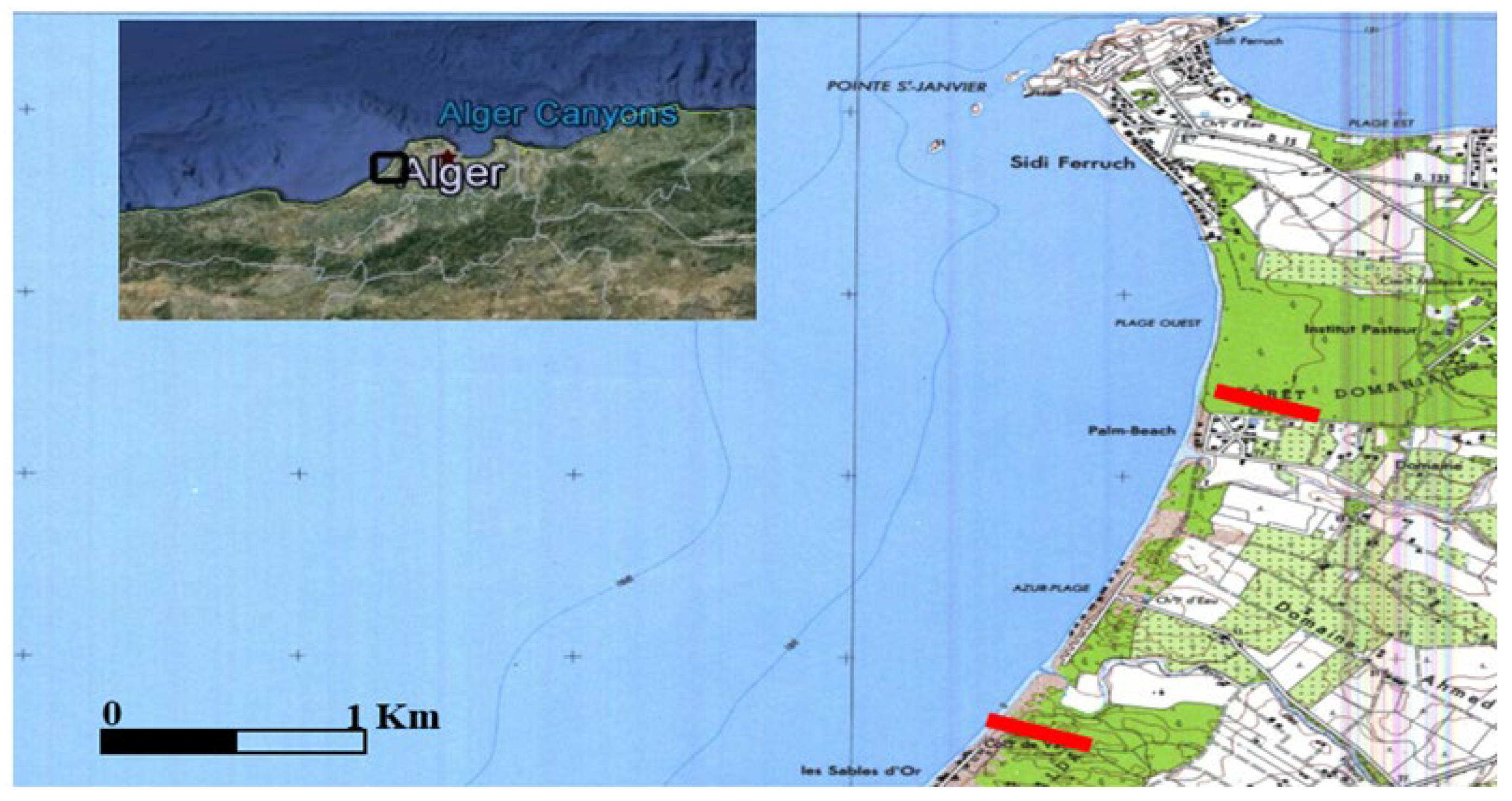 Sustainability 14 16595 g004 Sustainability 14 16595 g004