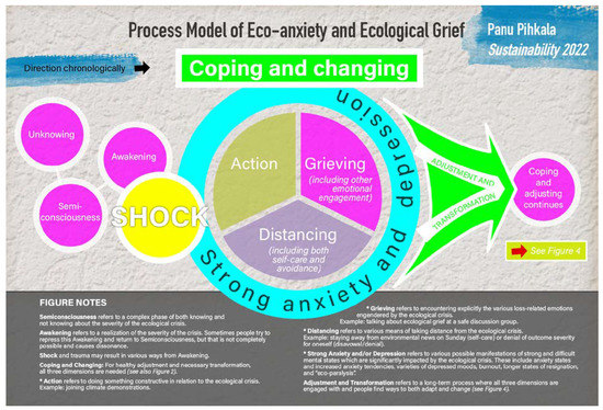 How Sustainability Efforts Fall Apart