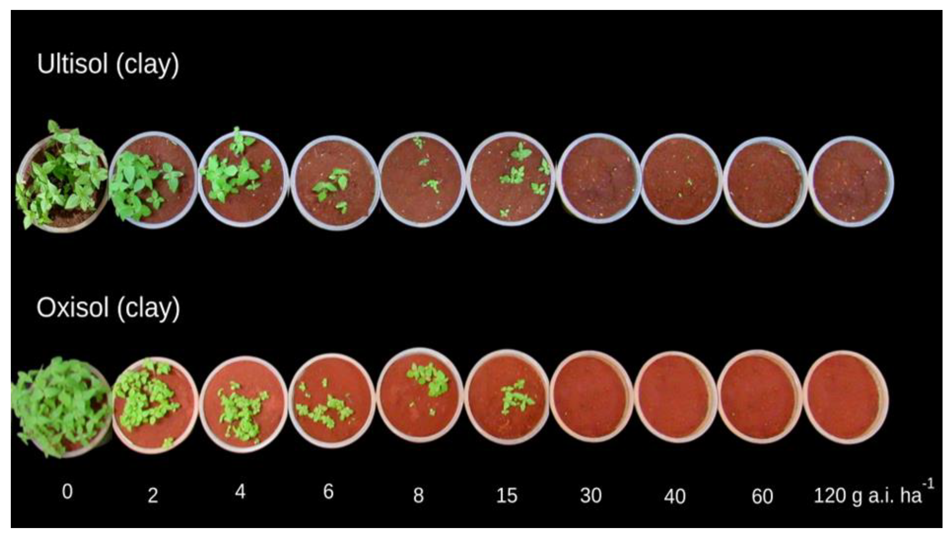 Sustainability 14 16637 g005