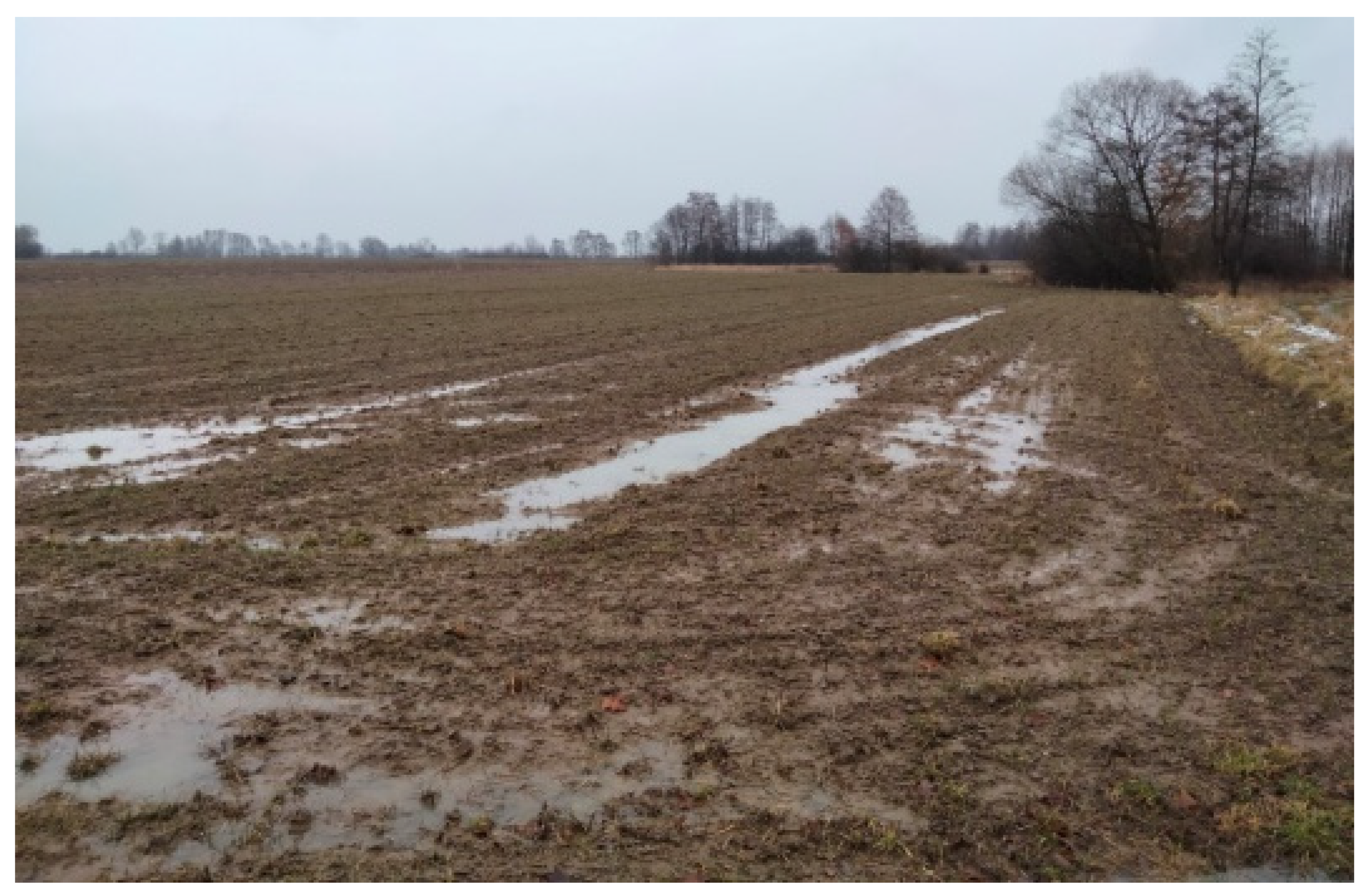 Sustainability 14 16651 g006