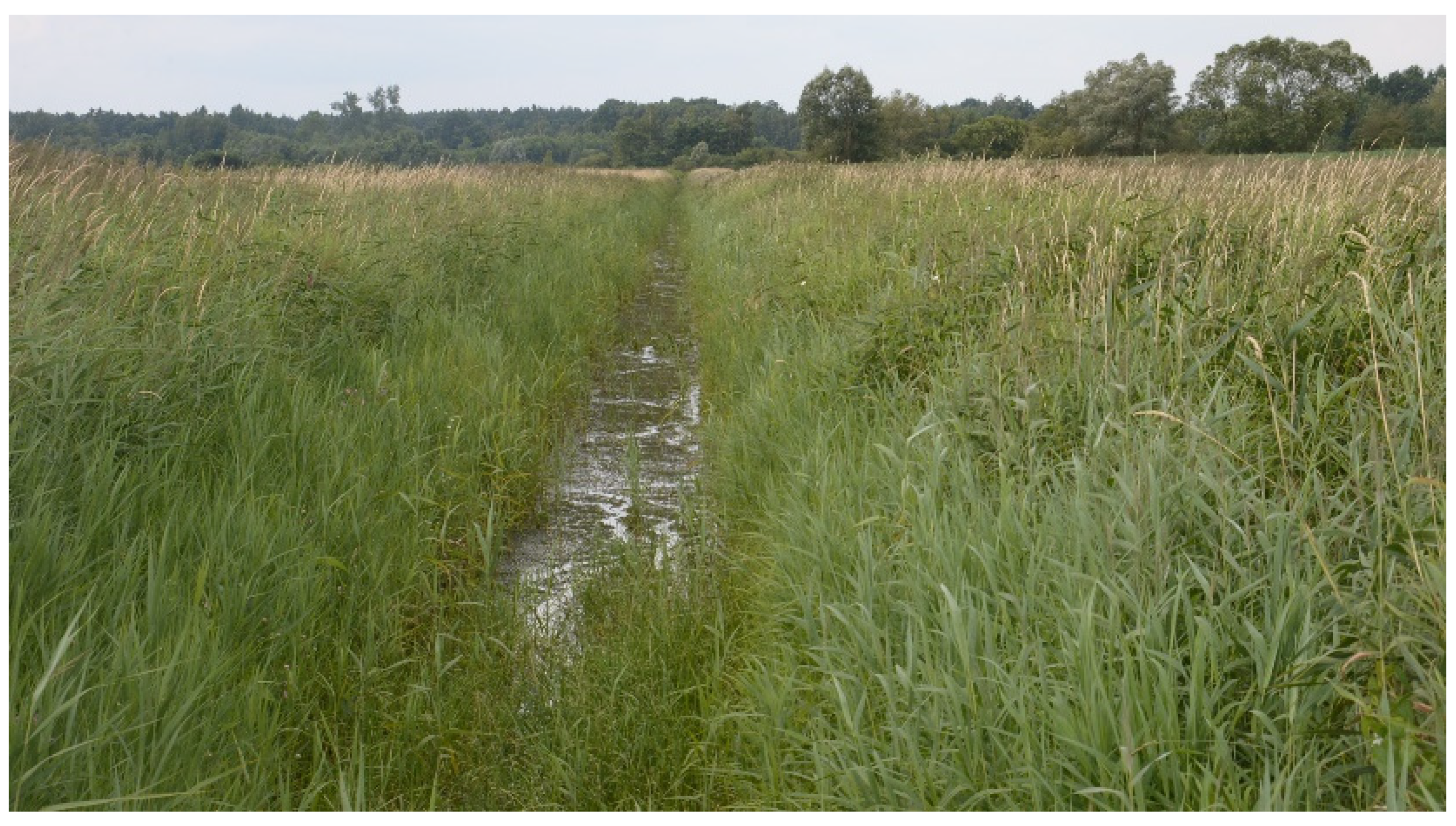 Sustainability 14 16651 g008