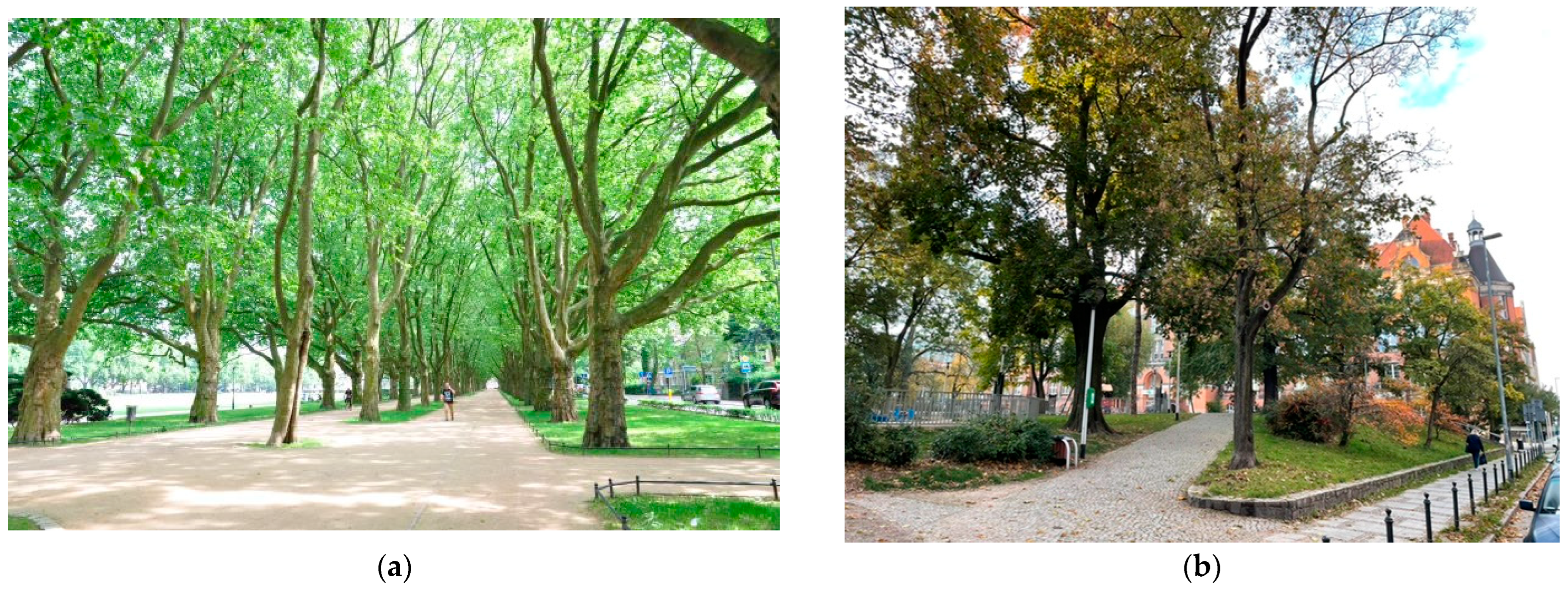 Sustainability 14 16664 g007