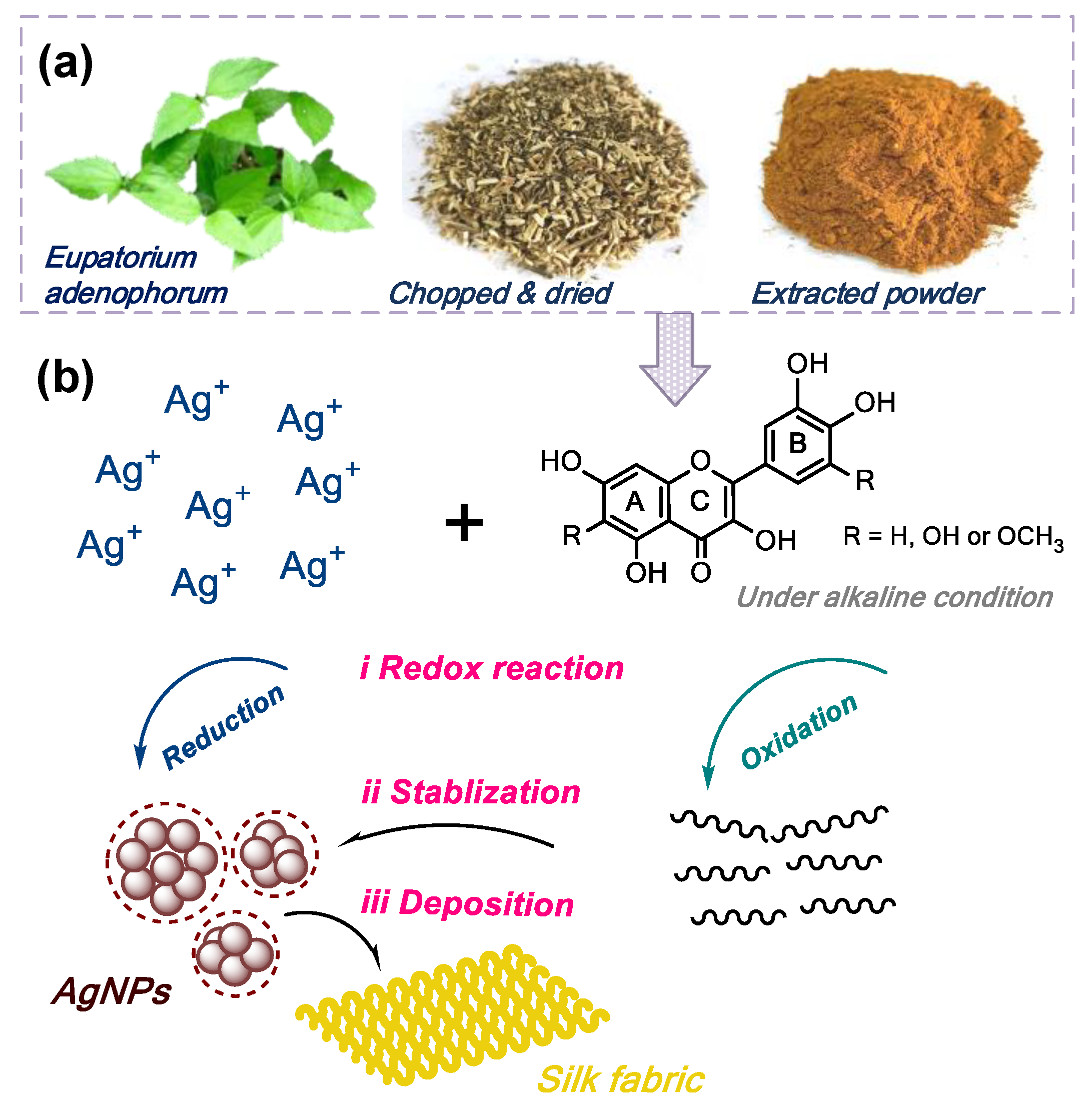 Sustainability 14 16668 g001 Sustainability 14 16668 g001