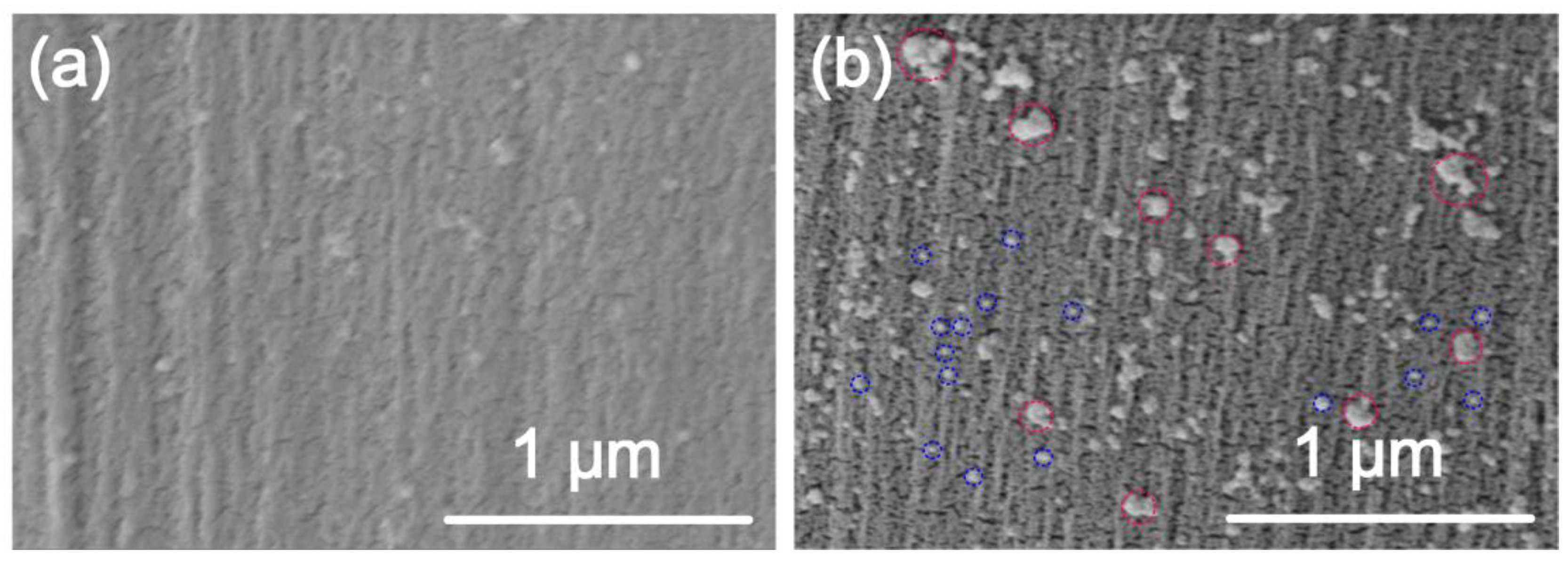Sustainability 14 16668 g008 Sustainability 14 16668 g008