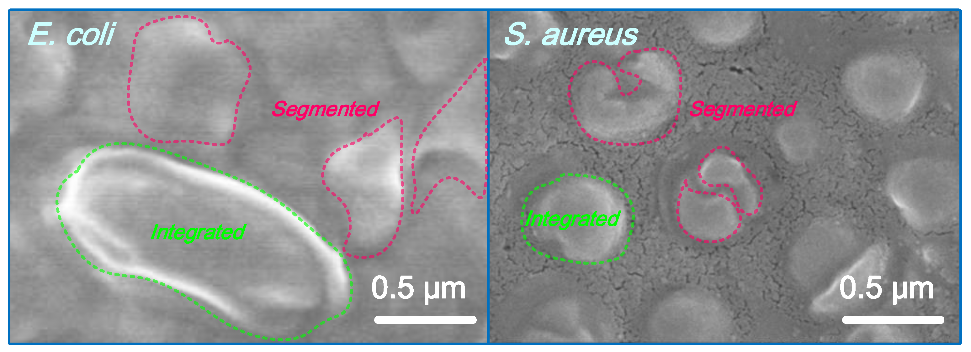 Sustainability 14 16668 g010 Sustainability 14 16668 g010