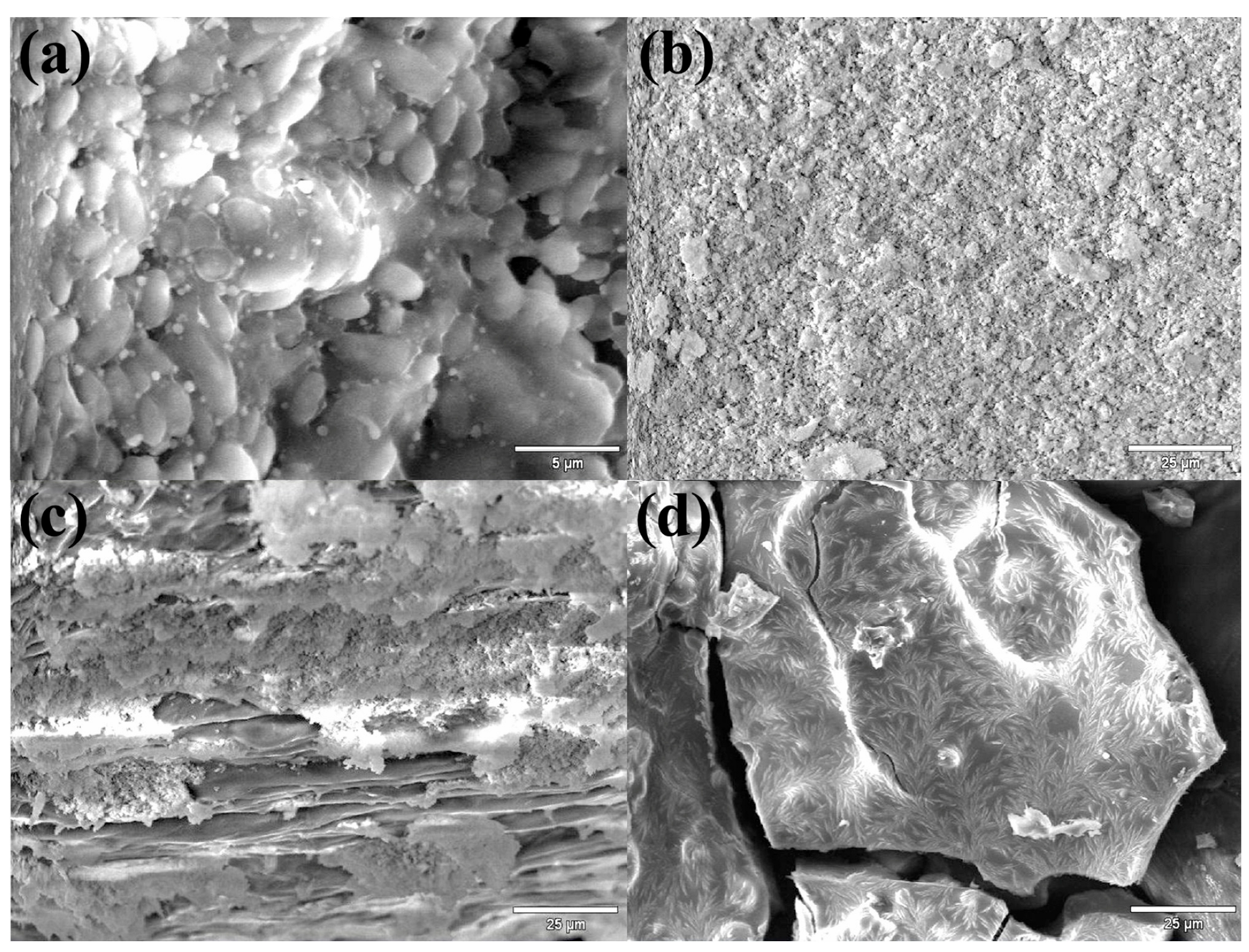 Sustainability 14 16689 g005 Sustainability 14 16689 g005