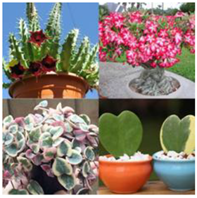 Sustainability 14 16718 i002